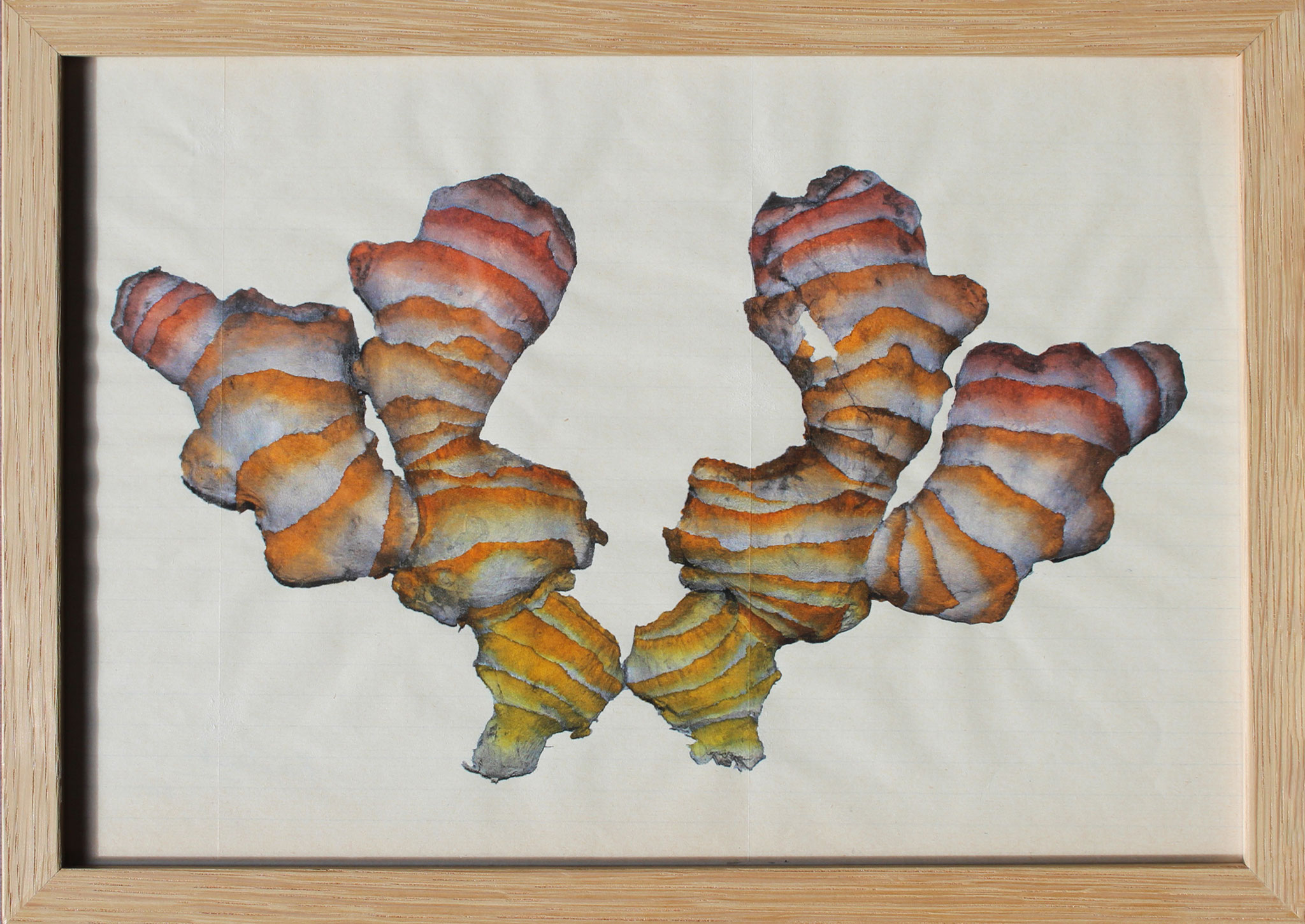 Rika Tanaka, Les Mundis - Zingiber, 2017