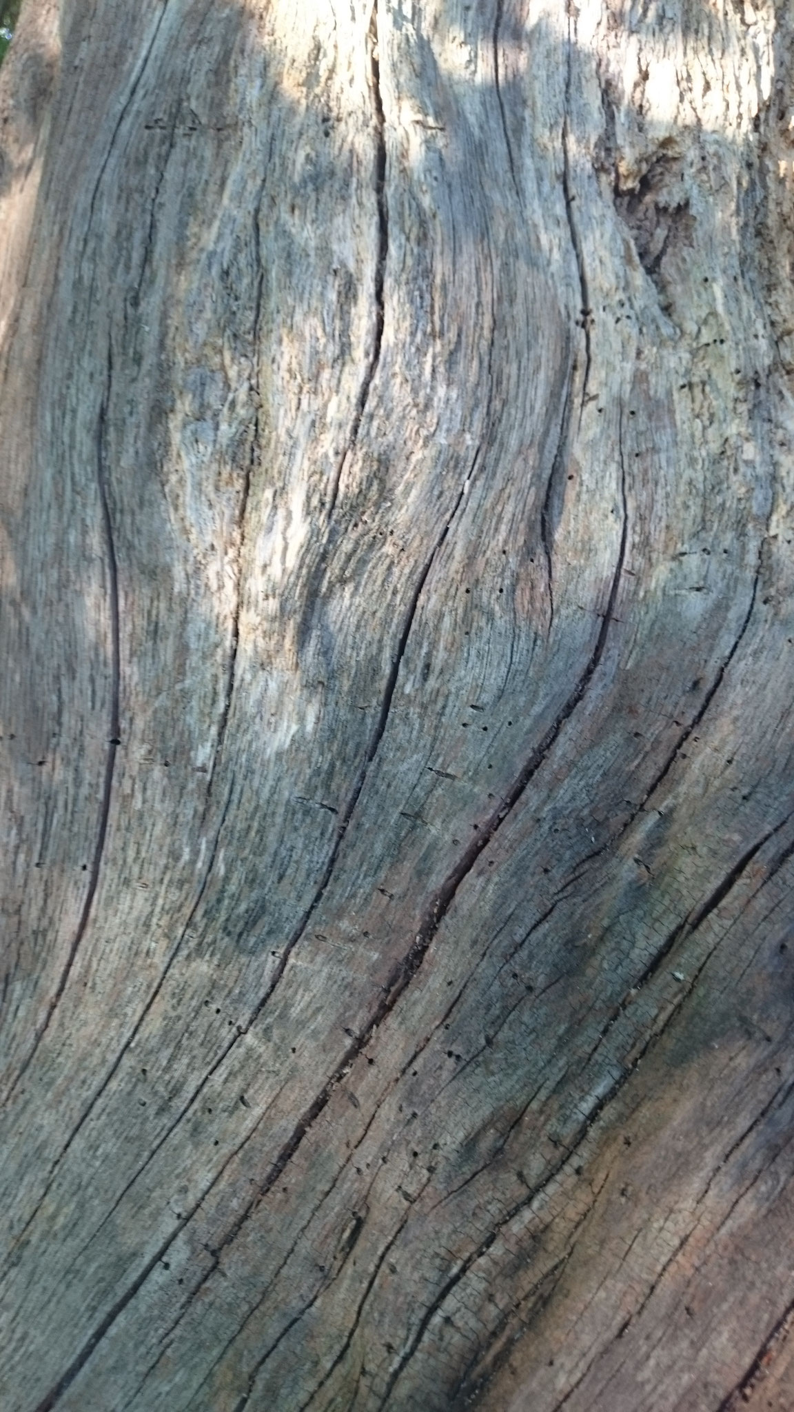 photo numérique 10x15 