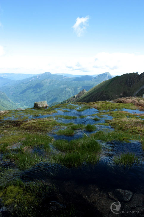 Source - Doriane GAUTIER, Couserando - Randonnée Nature Ariège Pyrénées