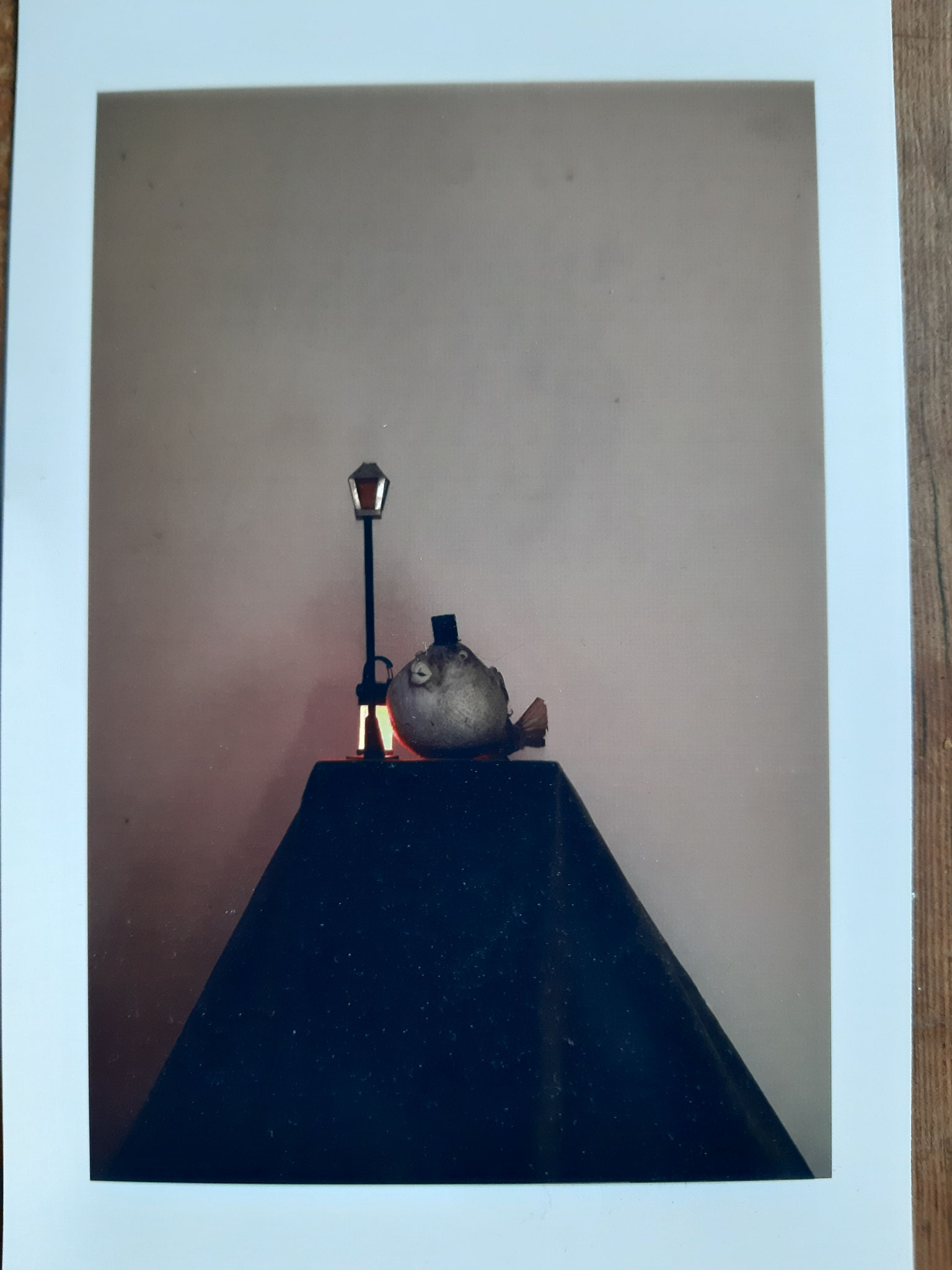 Foto Andreas Bohnhof