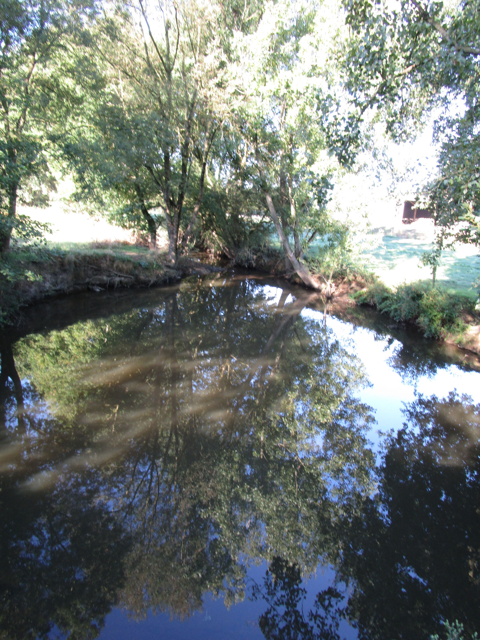 Ruisseau du Sauzignac au pont du Bochet