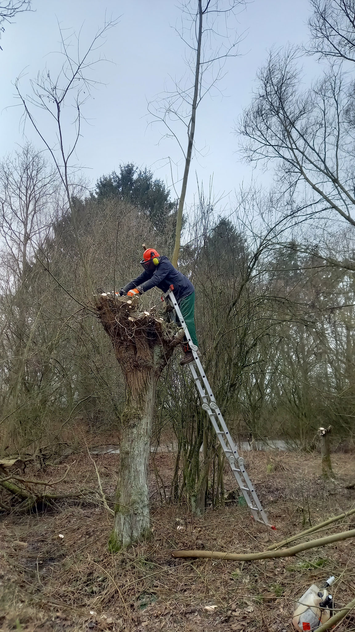 FOTO: NABU Bad Münder