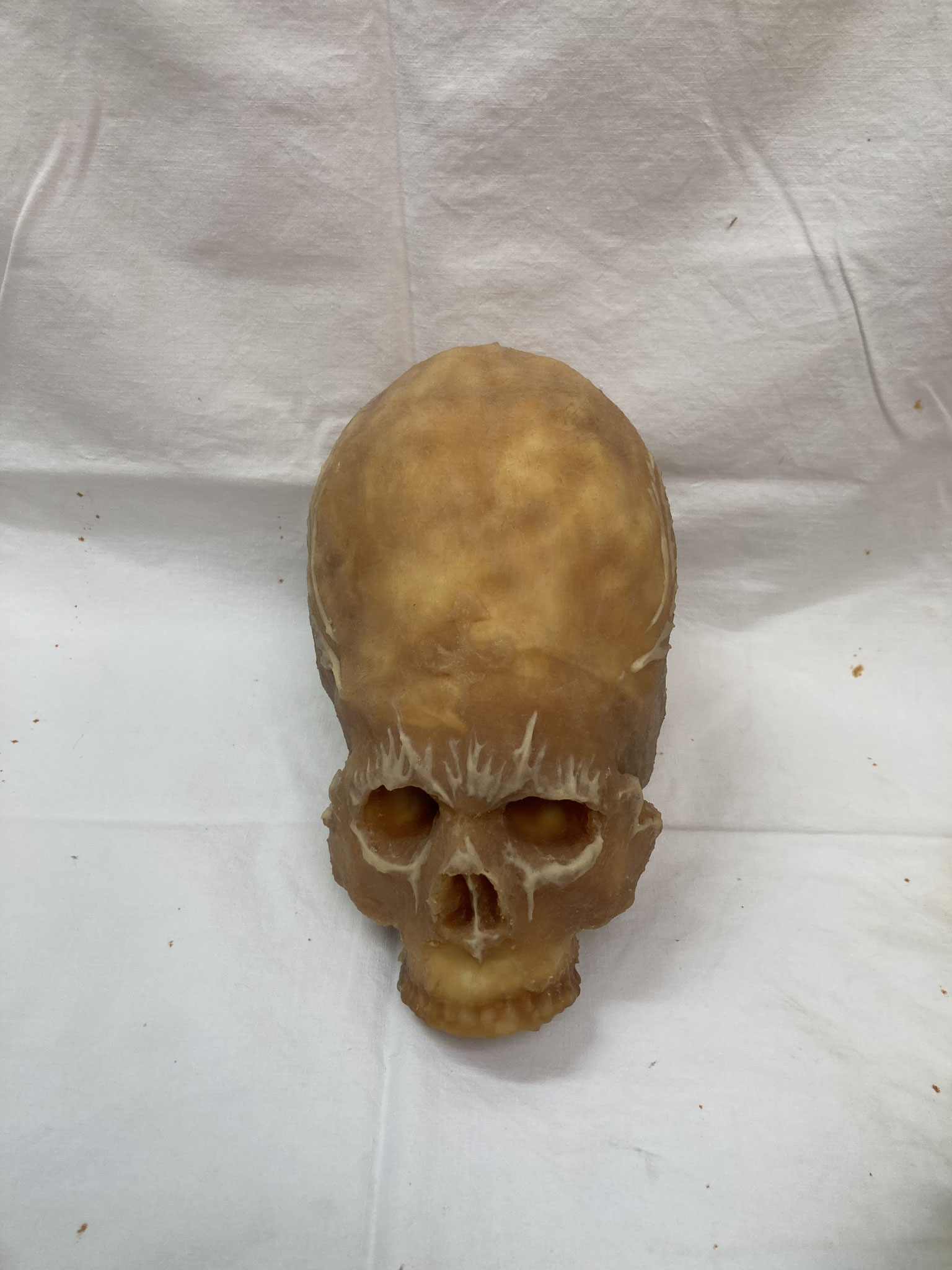 Crâne en silicone de Trofel "Alien" 220€