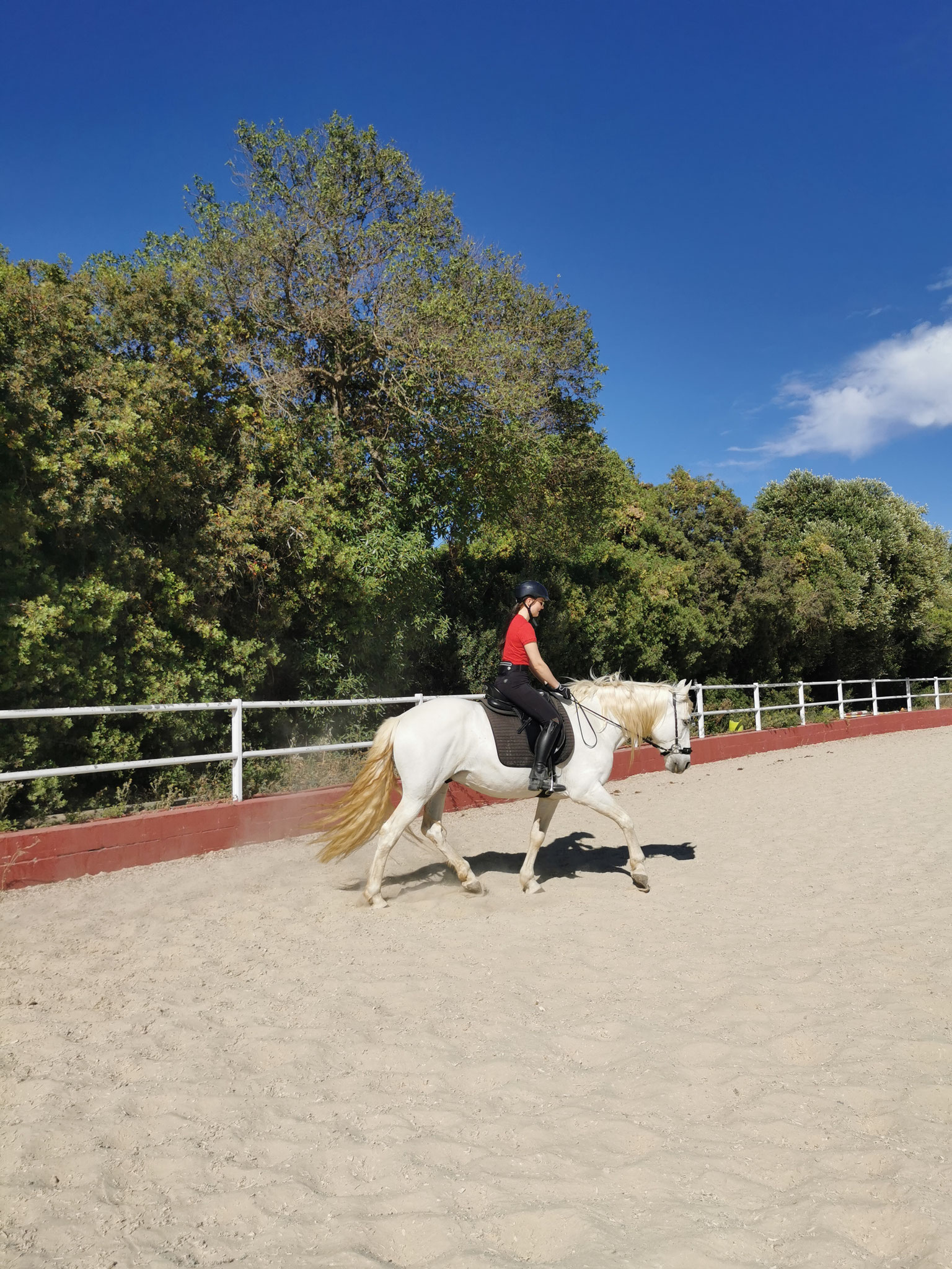 Reitstunde mit Gitano