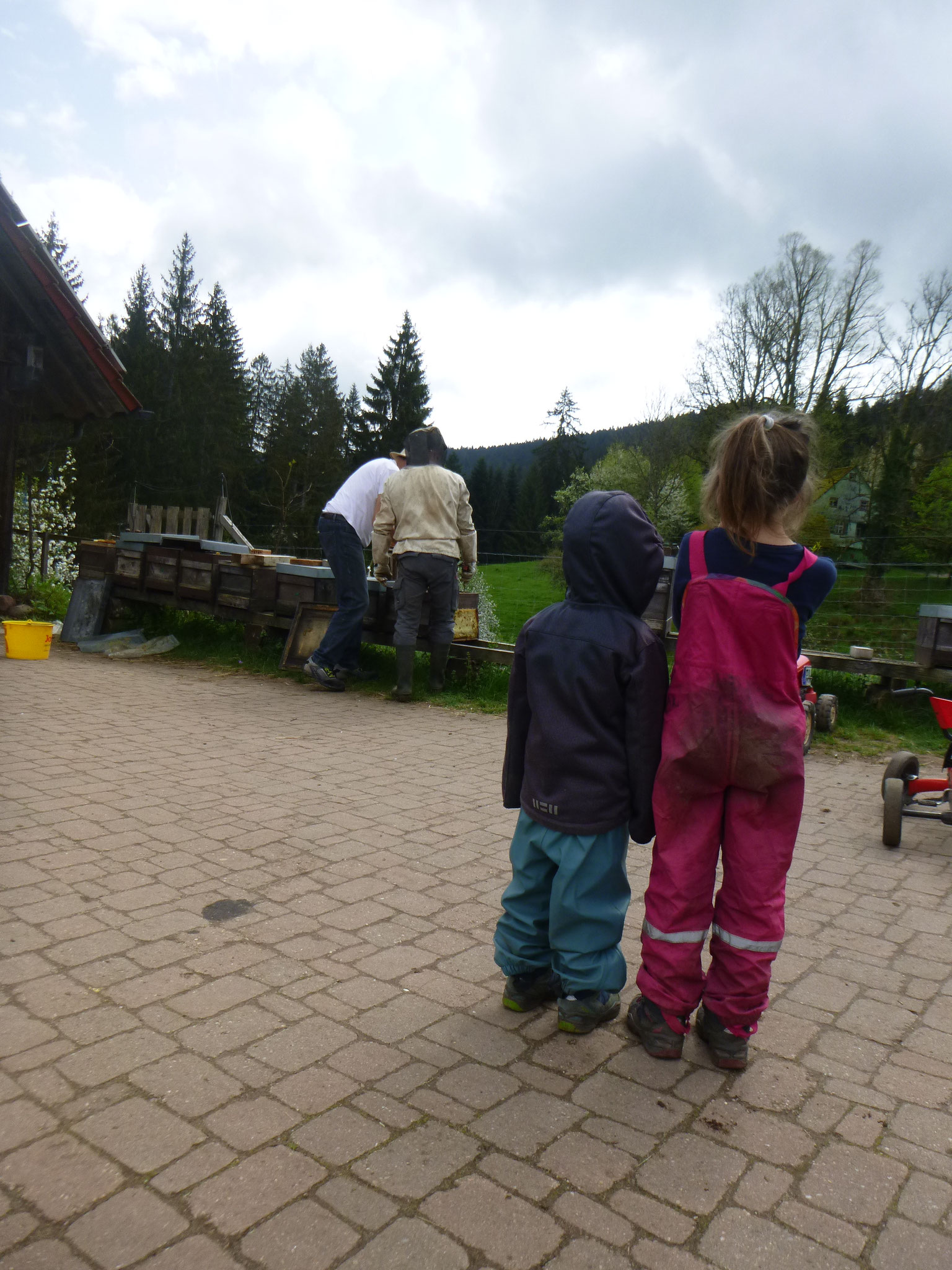 Beim Imkern