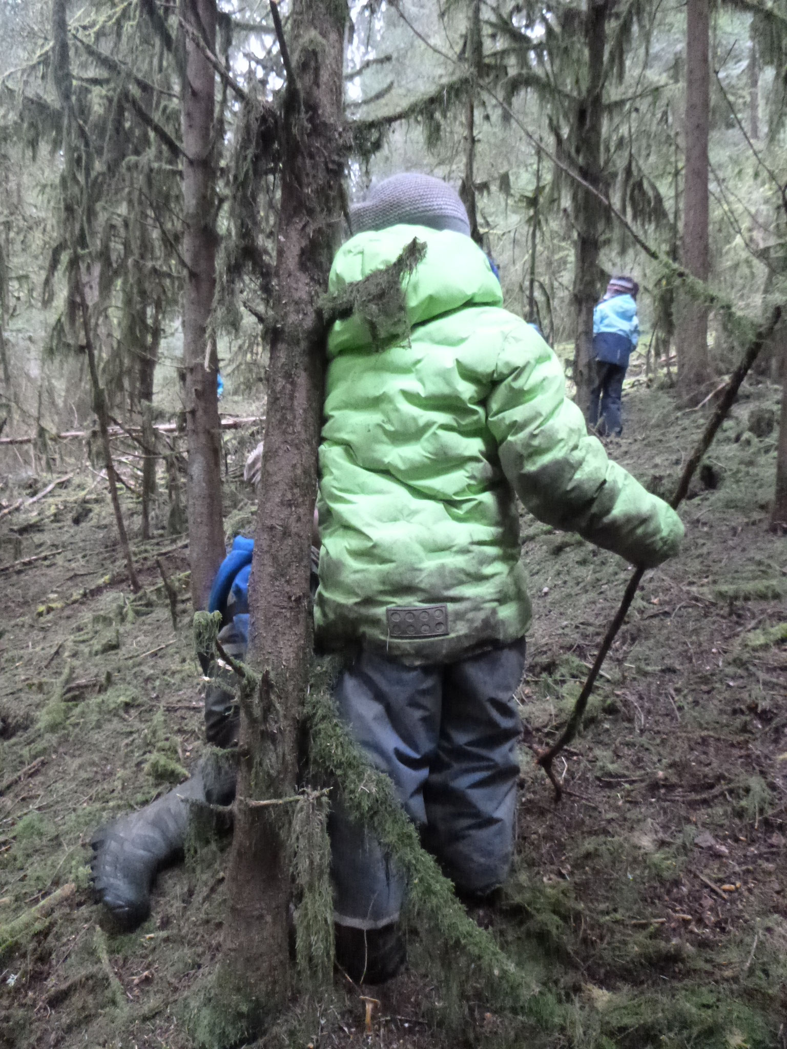 Im Wald unterwegs