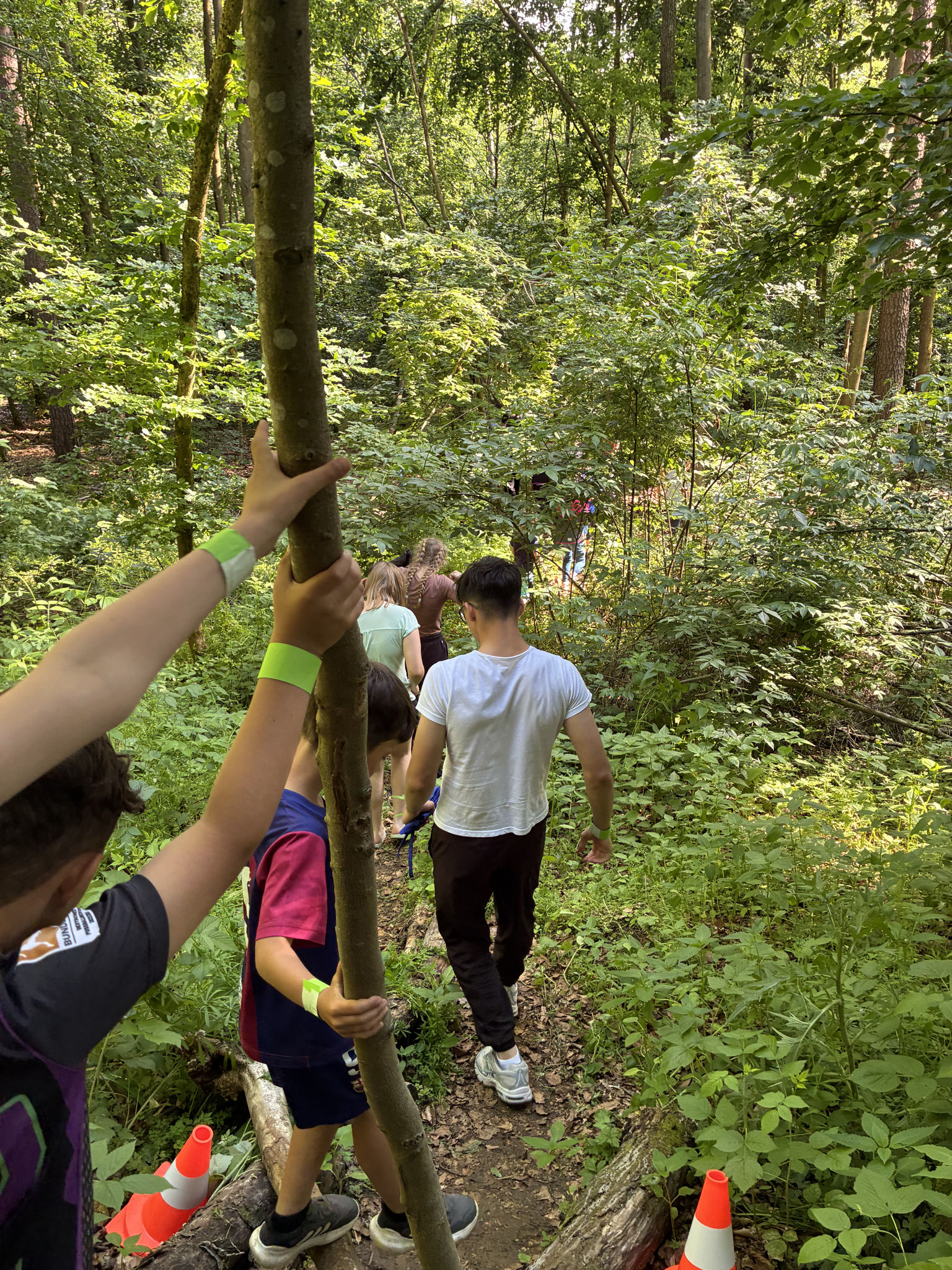 Ein Geländerspiel im Wald