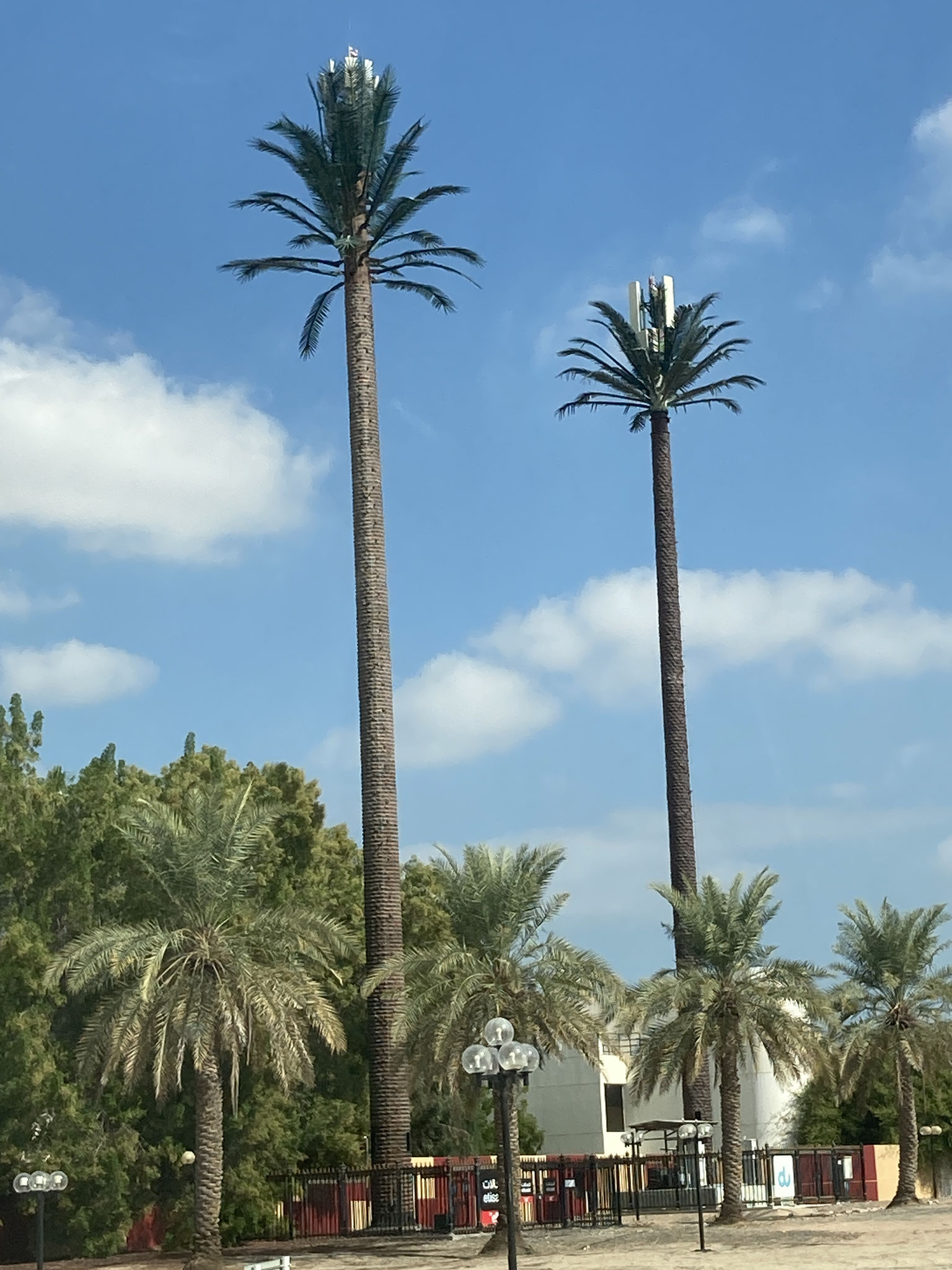 Keine Palme, Handyantennen