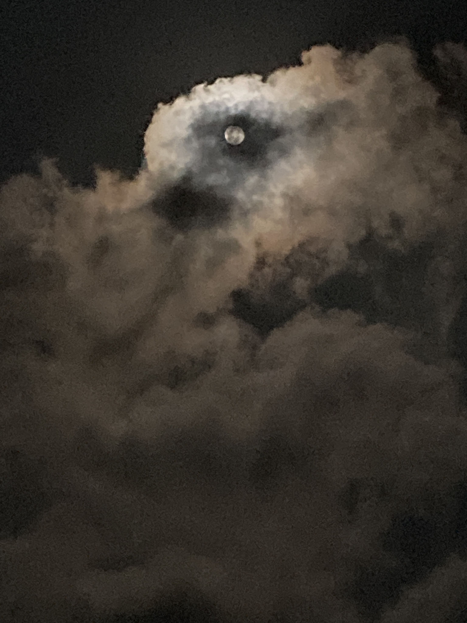 Vollmond bei den Schildkröten