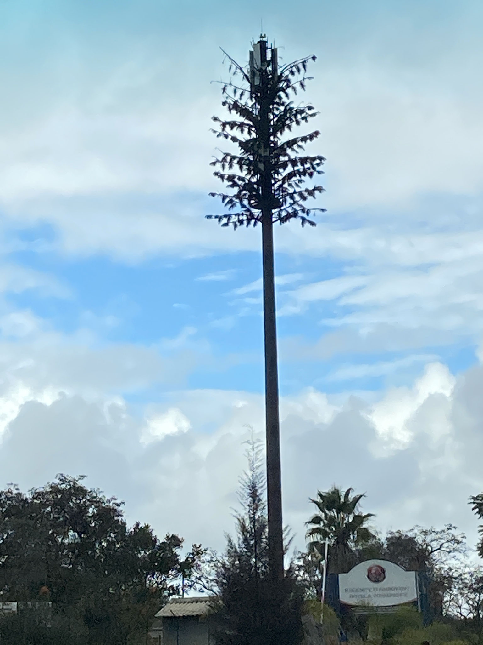 Handyantennen im südlichen Afrika