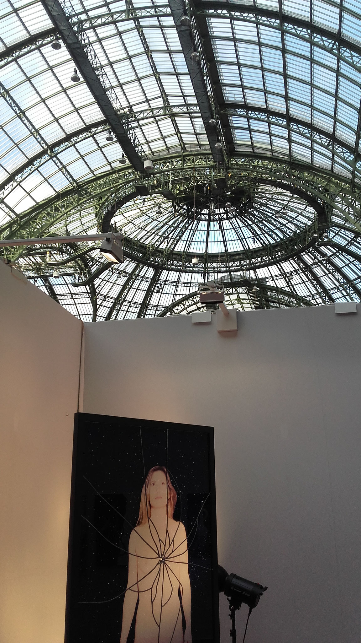 Toujours en Vie sous la verrière du Grand Palais