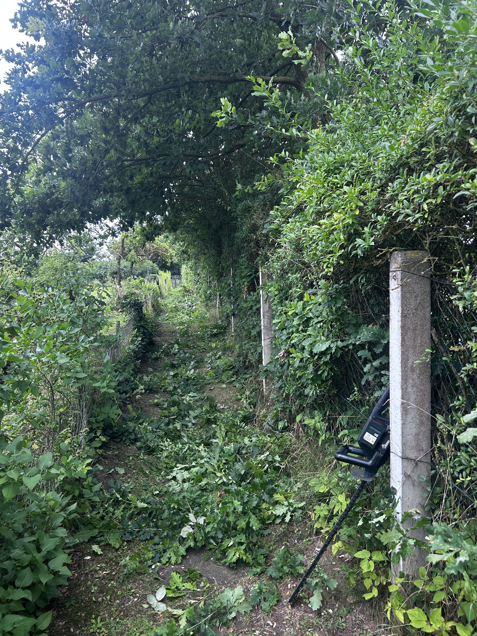 Weg 1