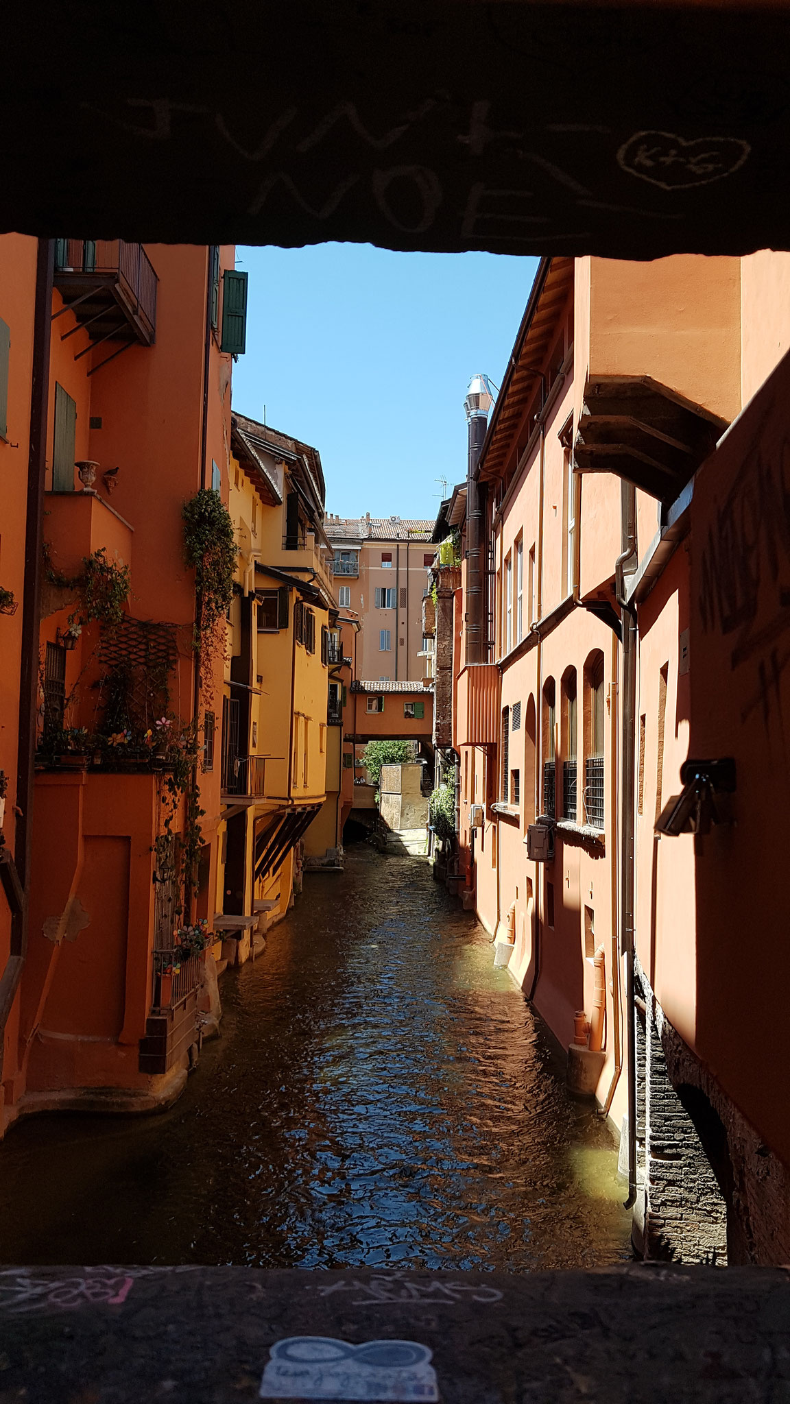 Finestrella