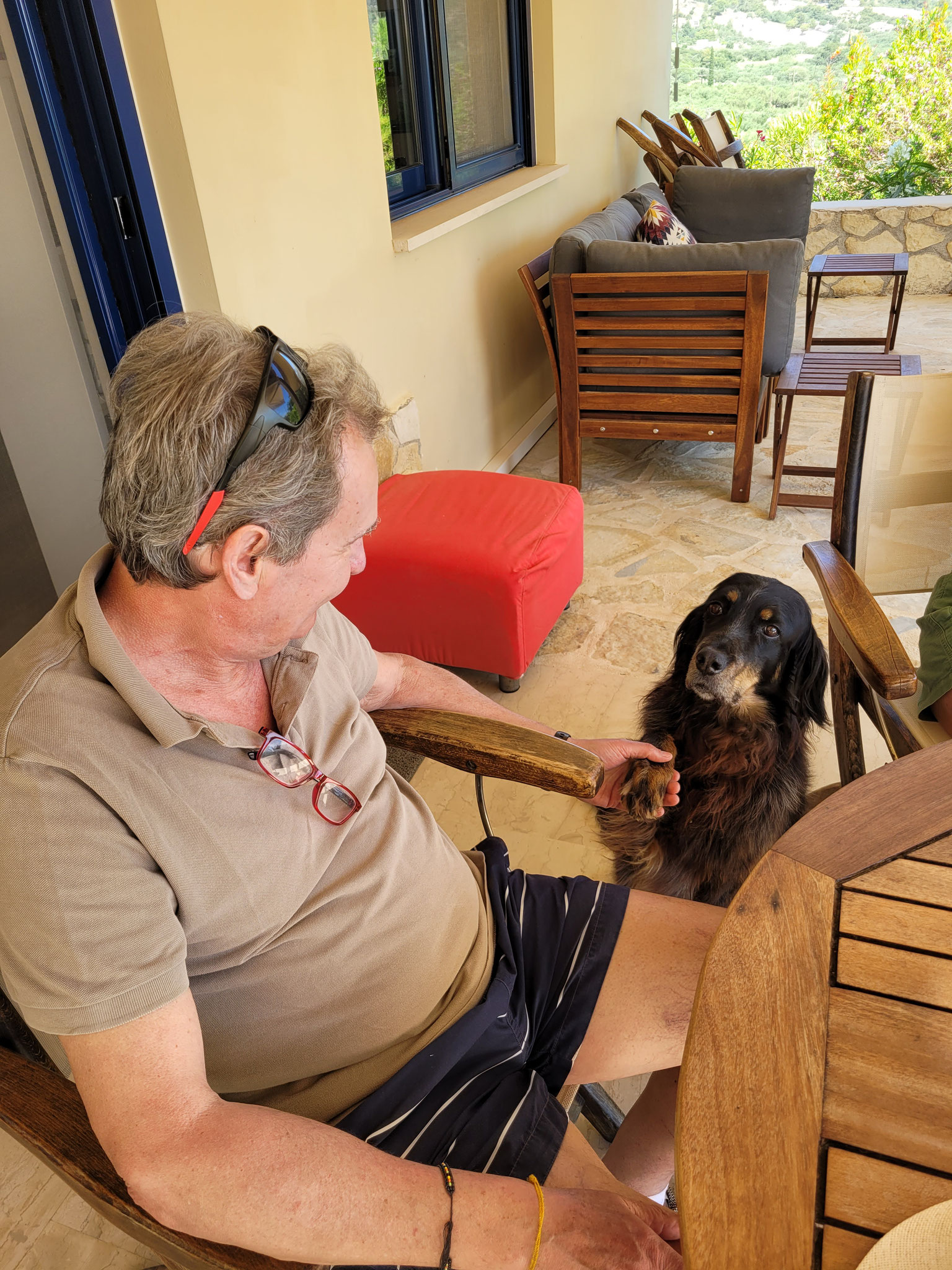 ... wir besuchen unseren ehemaligen alten Hund "Mora"