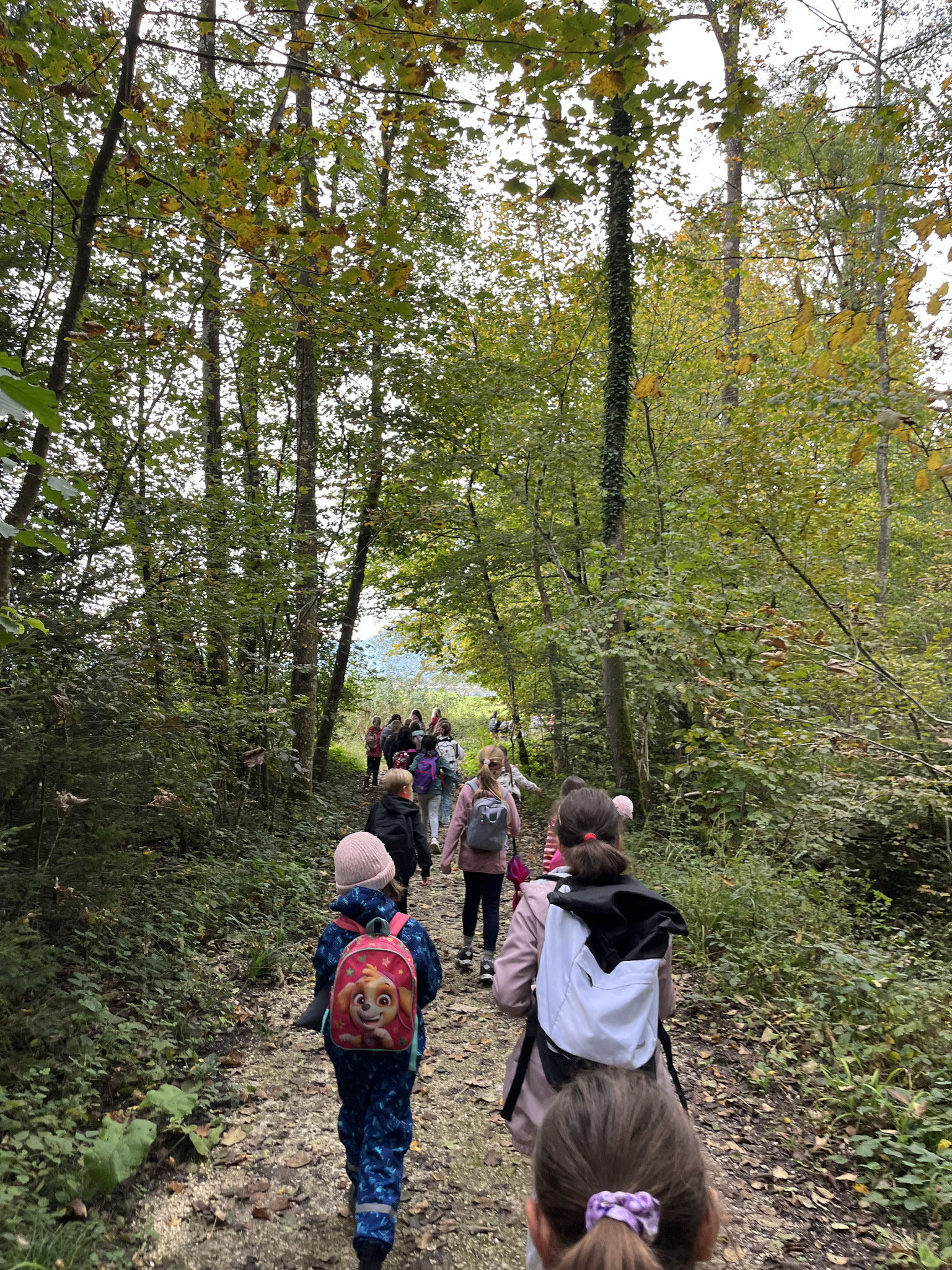 Wandertag rund um den Högl: Ein Tag voller Entdeckungen