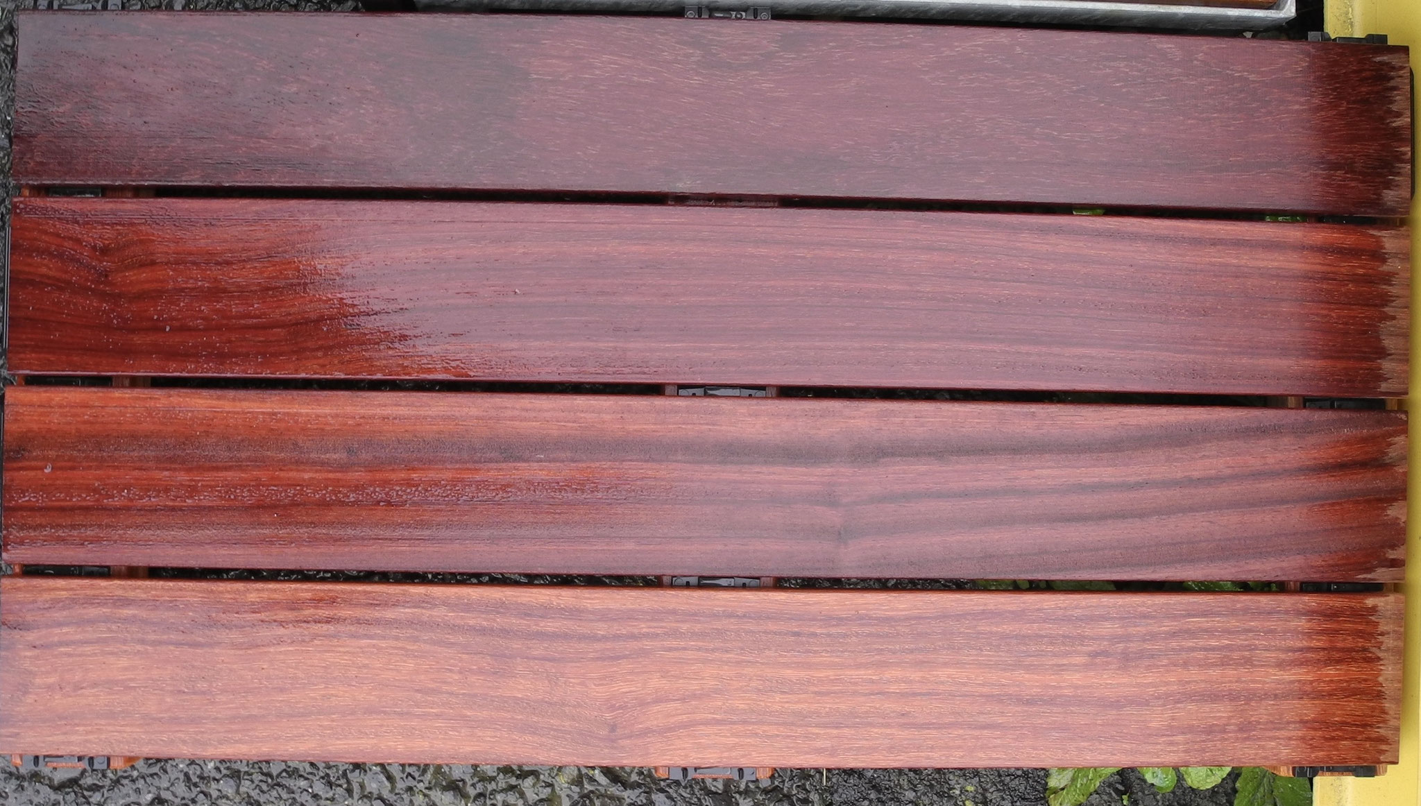 Padouk bei Regen