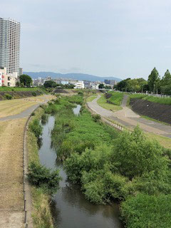 モノレール摂津駅近くの防領橋から見た大正川・阪急摂津市駅、JR千里丘駅へと続きます。