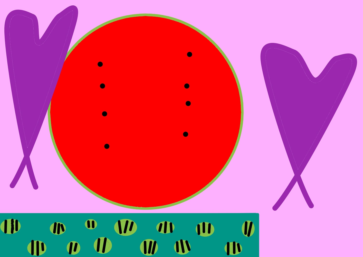Watermelon (スイカ) / Creation date: March 2023 / Age 6