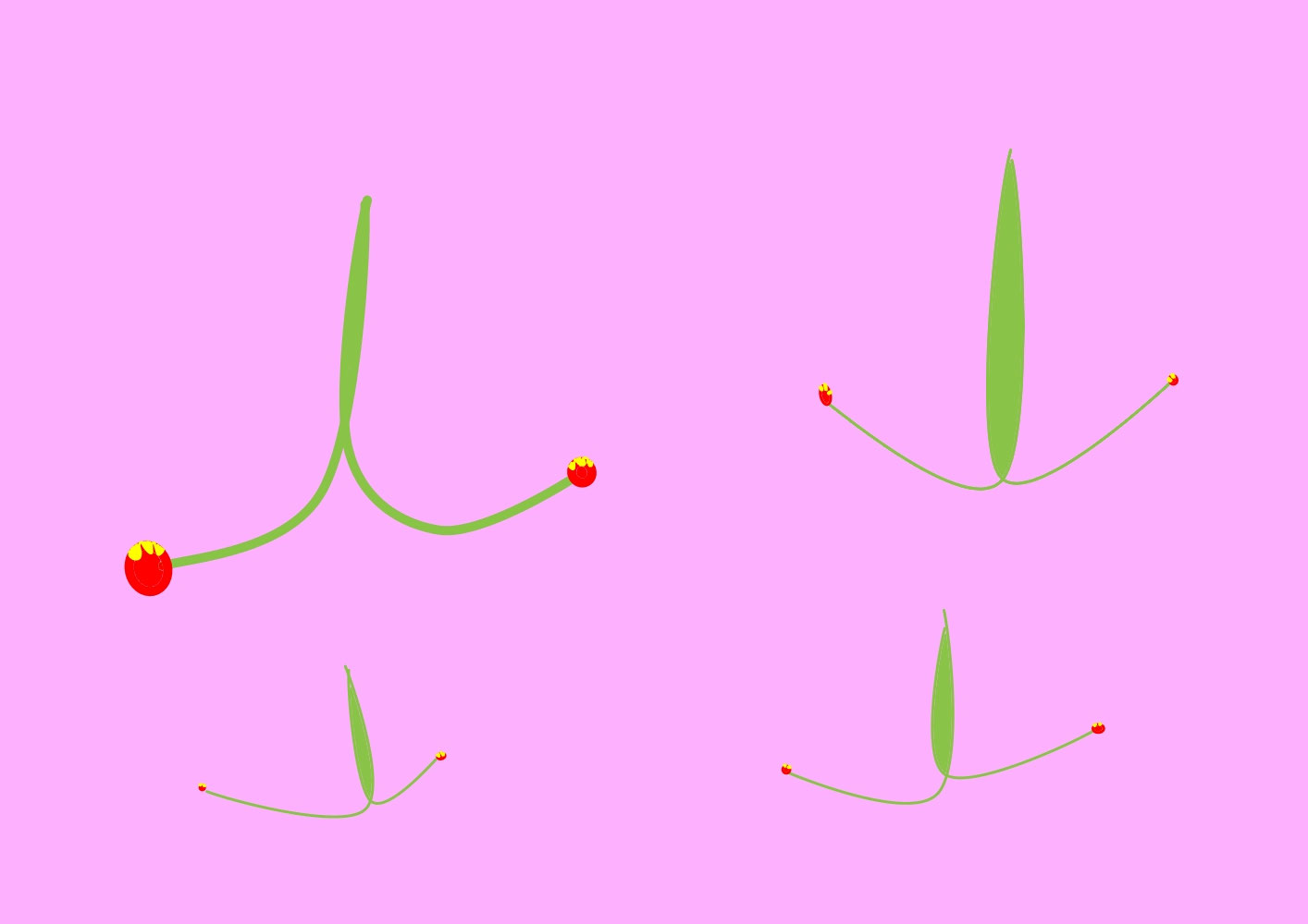 Cherry (さくらんぼ) / Creation date: March 2023 / Age 6