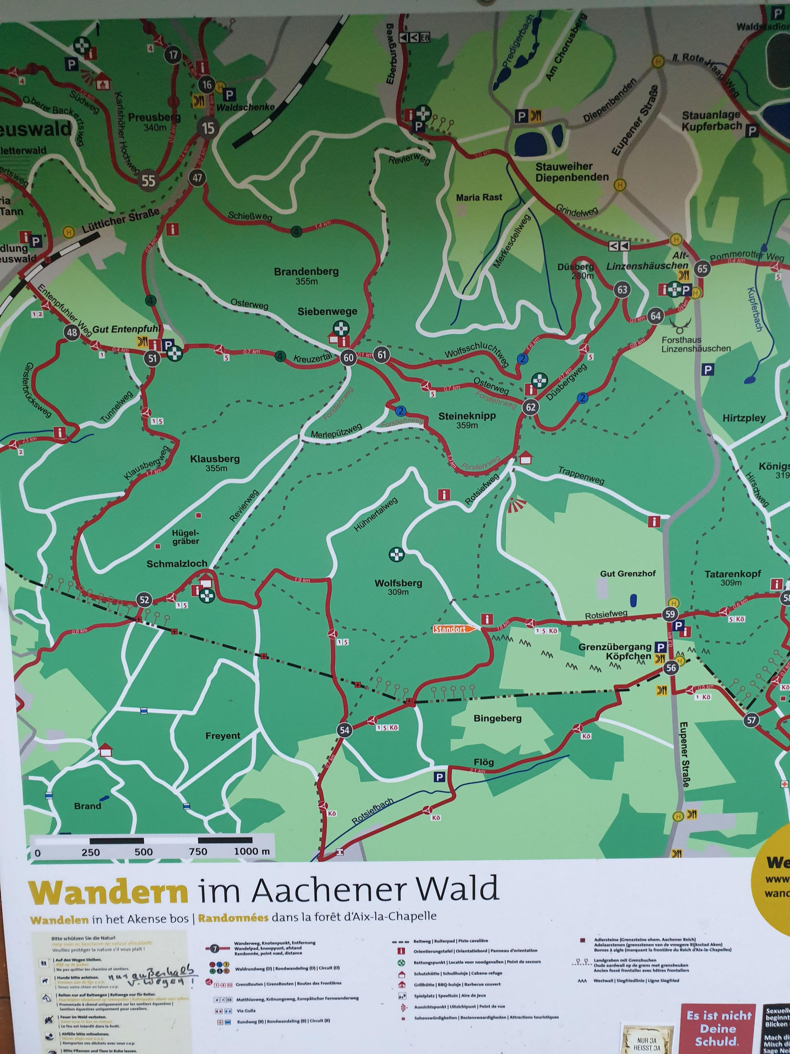 Aachener Wald am Landgraben bei Köpfchen