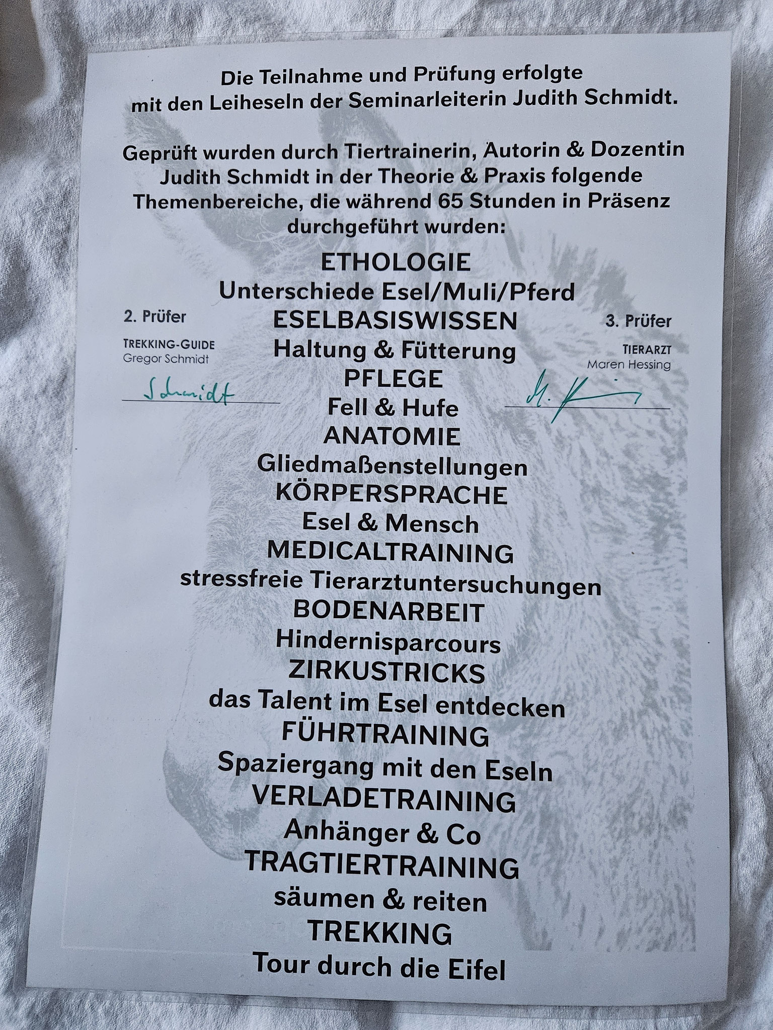 Vielfalt
