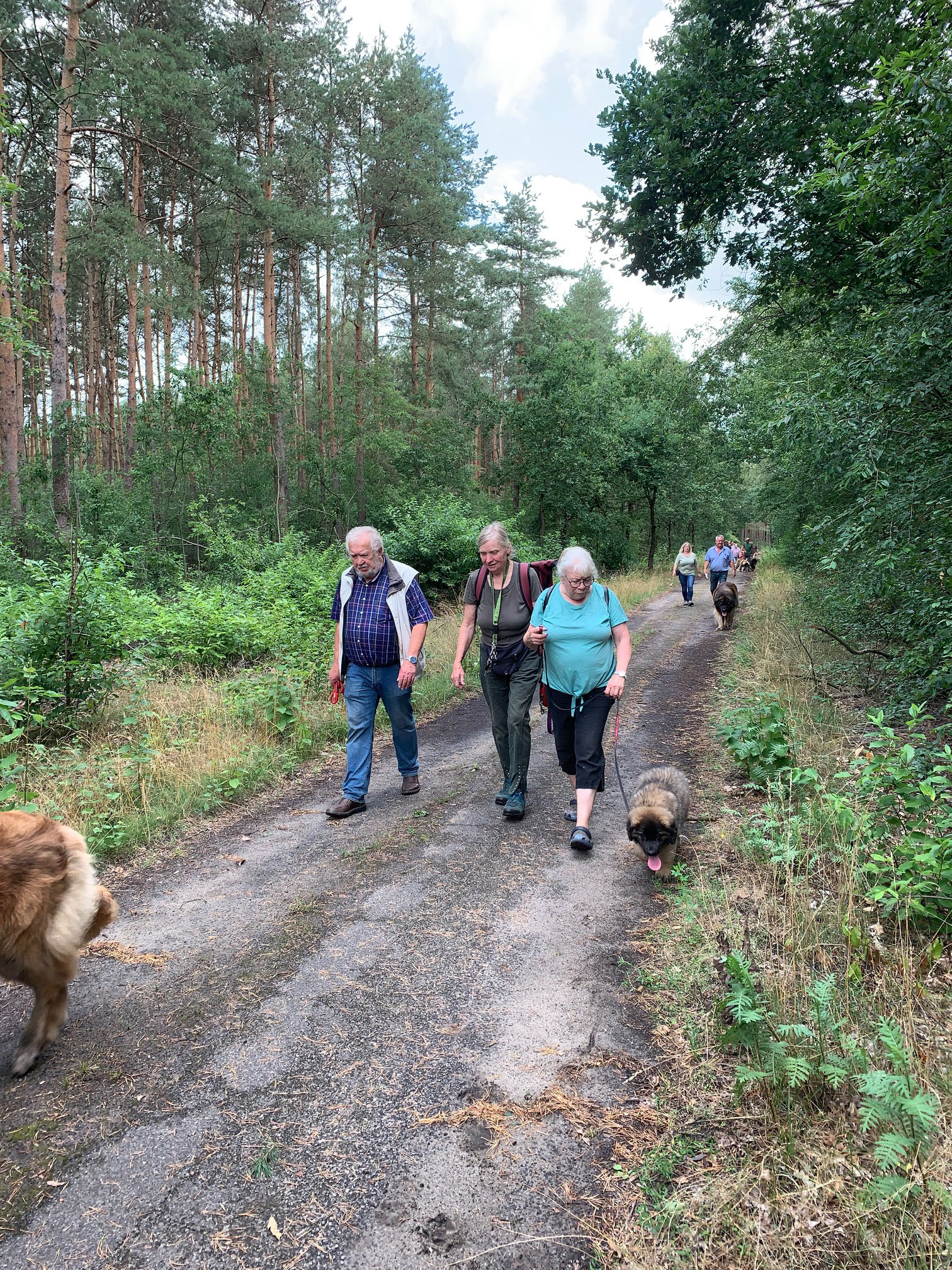 Waldspaziergang Wietze