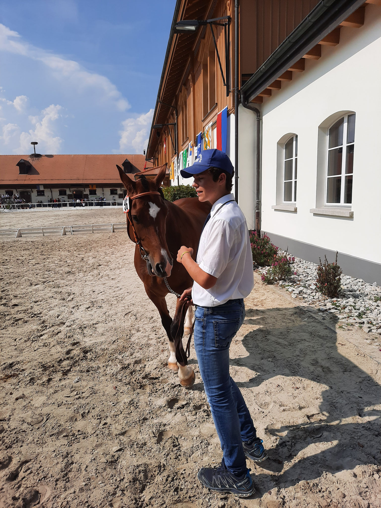 Aktuelles - Webseite der Freibergerzucht BW