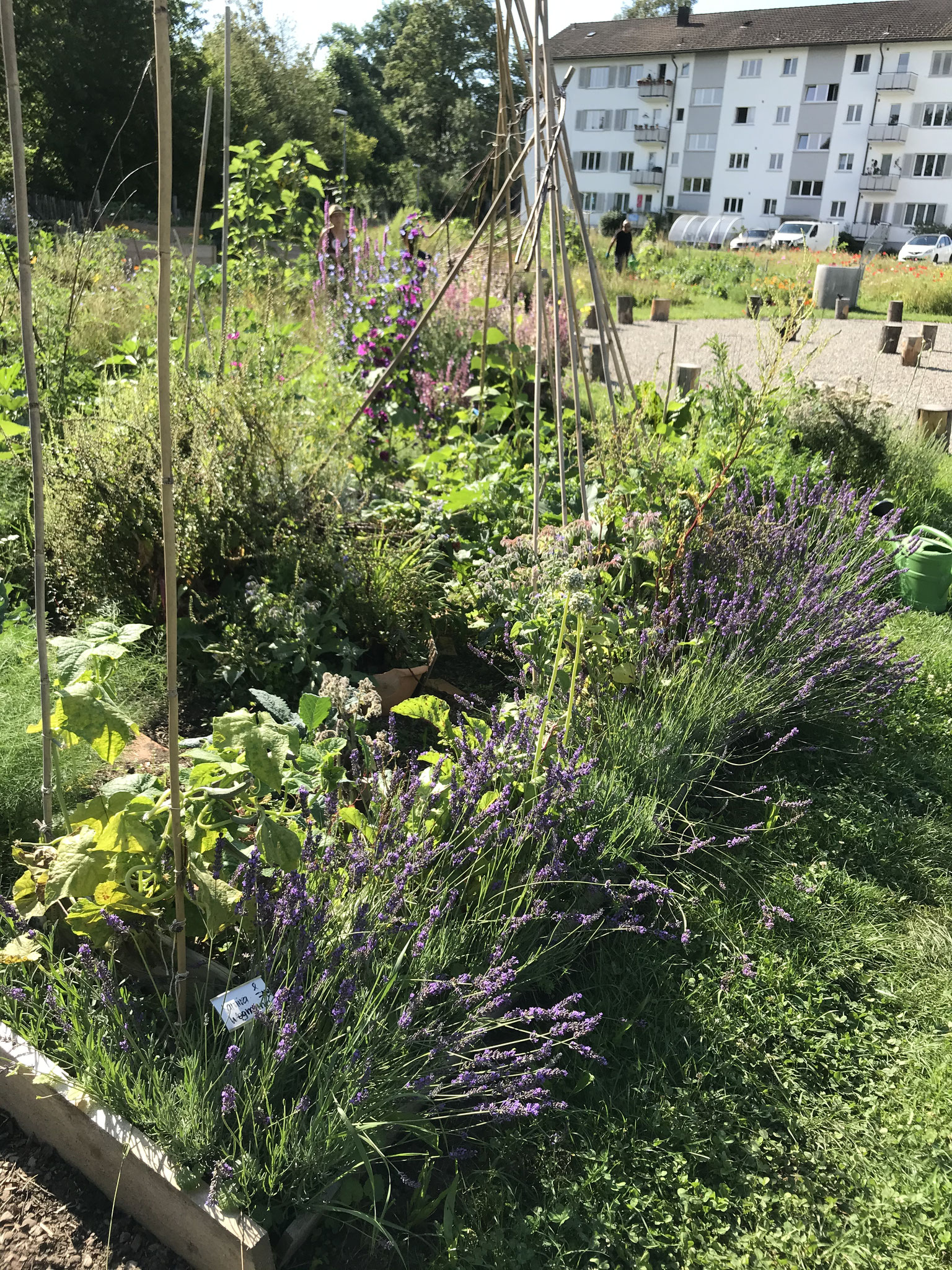 Nach 2 Jahren…