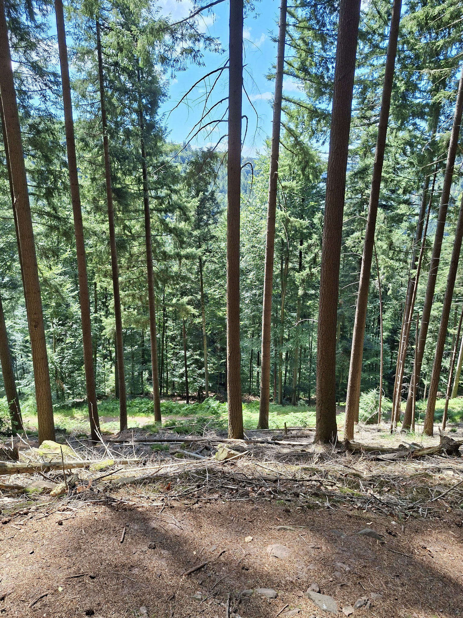 Felsenpfad