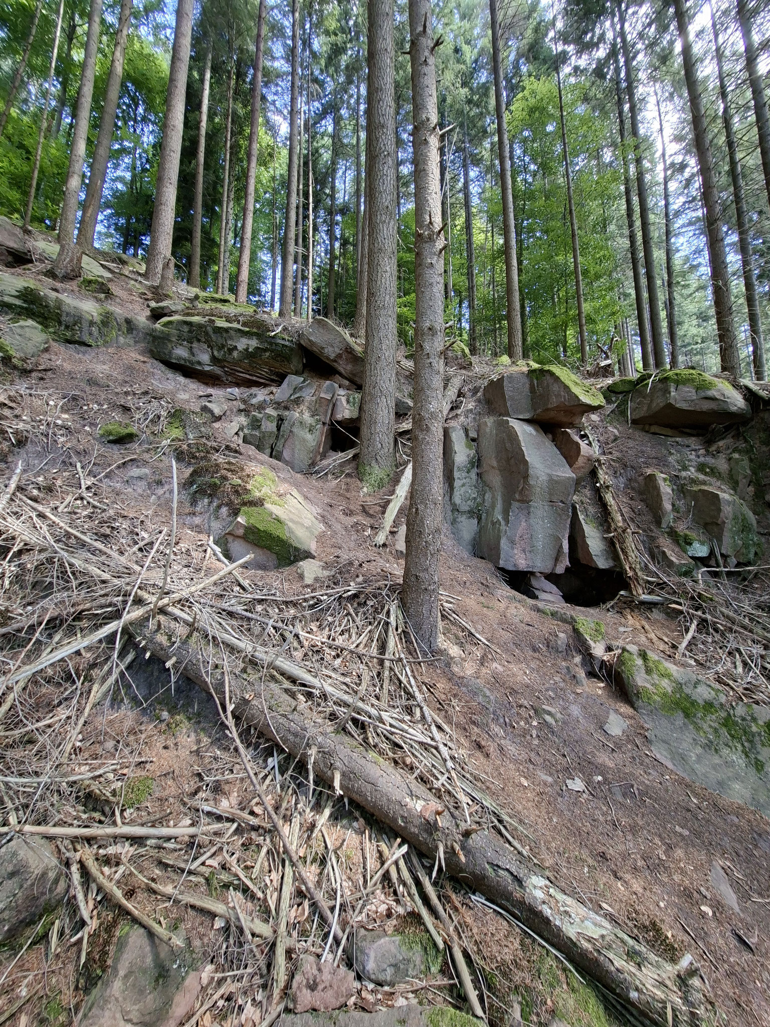 Felsenpfad