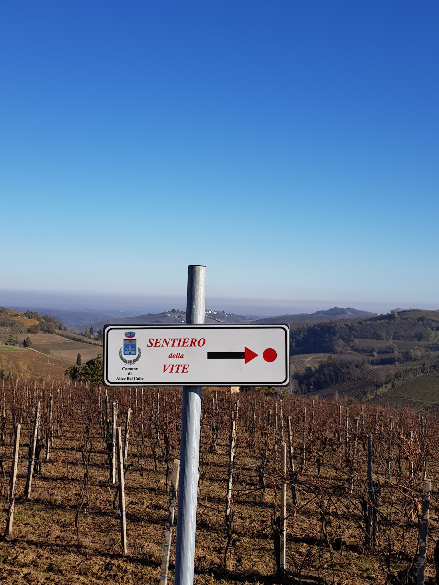 Der "Rebenweg" führt mitten durch die Weinberge.