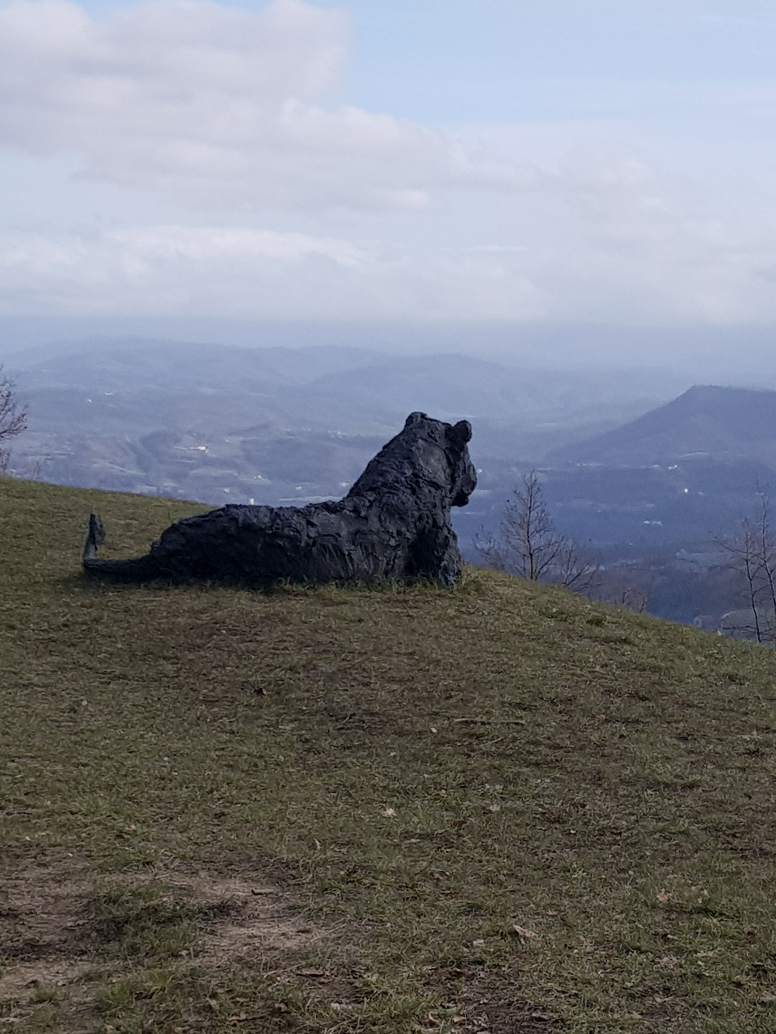 Und hier - frei nach mir - die Herrscherin über die Hügel