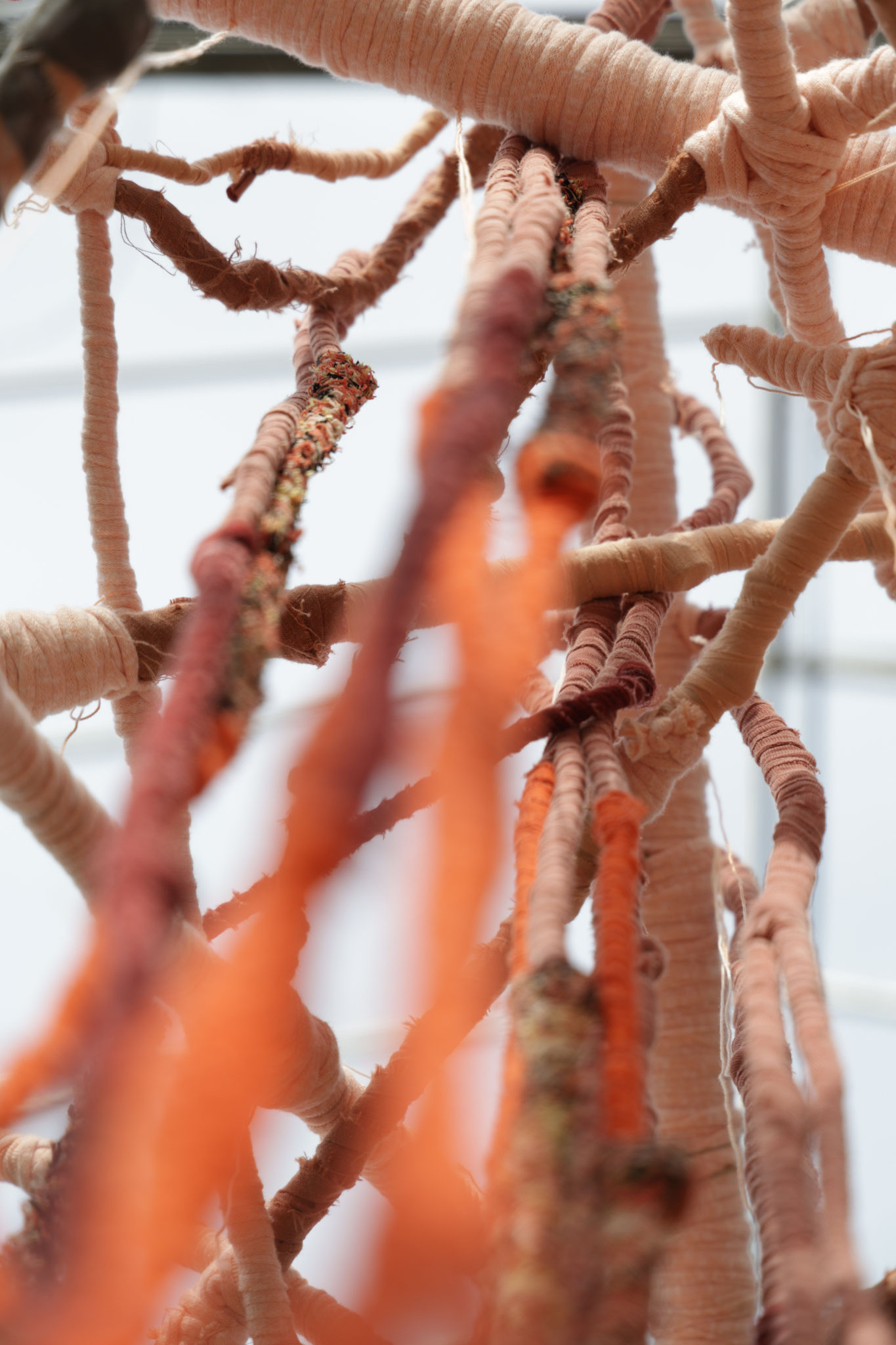 Sheltering roots to Pachamama (detail). Fotografie Yori Ettema