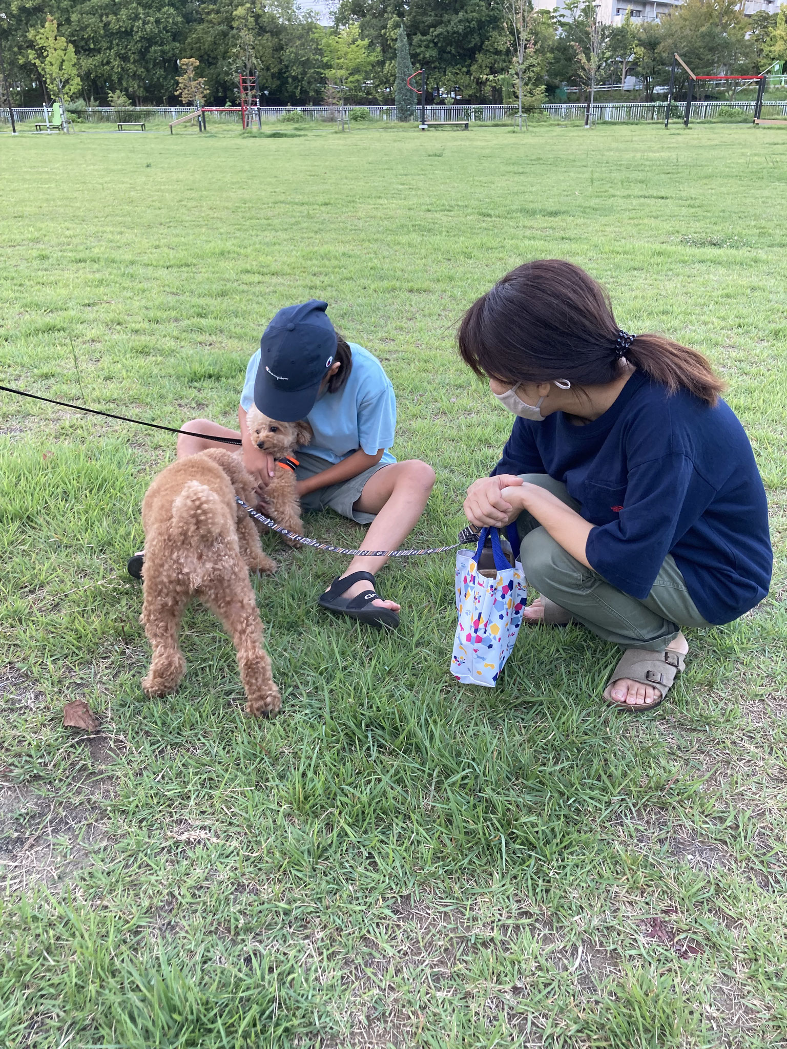 トイプー仲間と