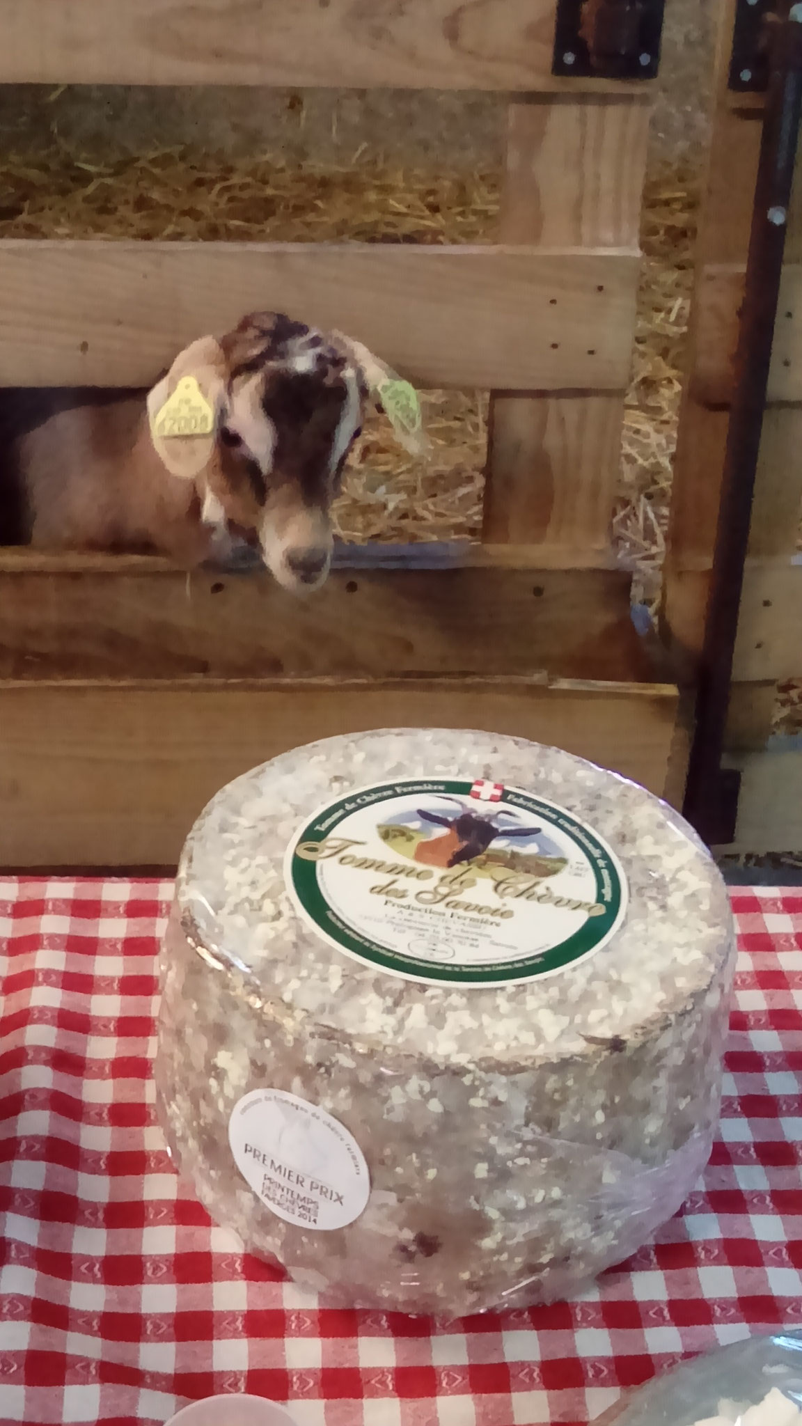 tomme de chèvre - crédit CDC