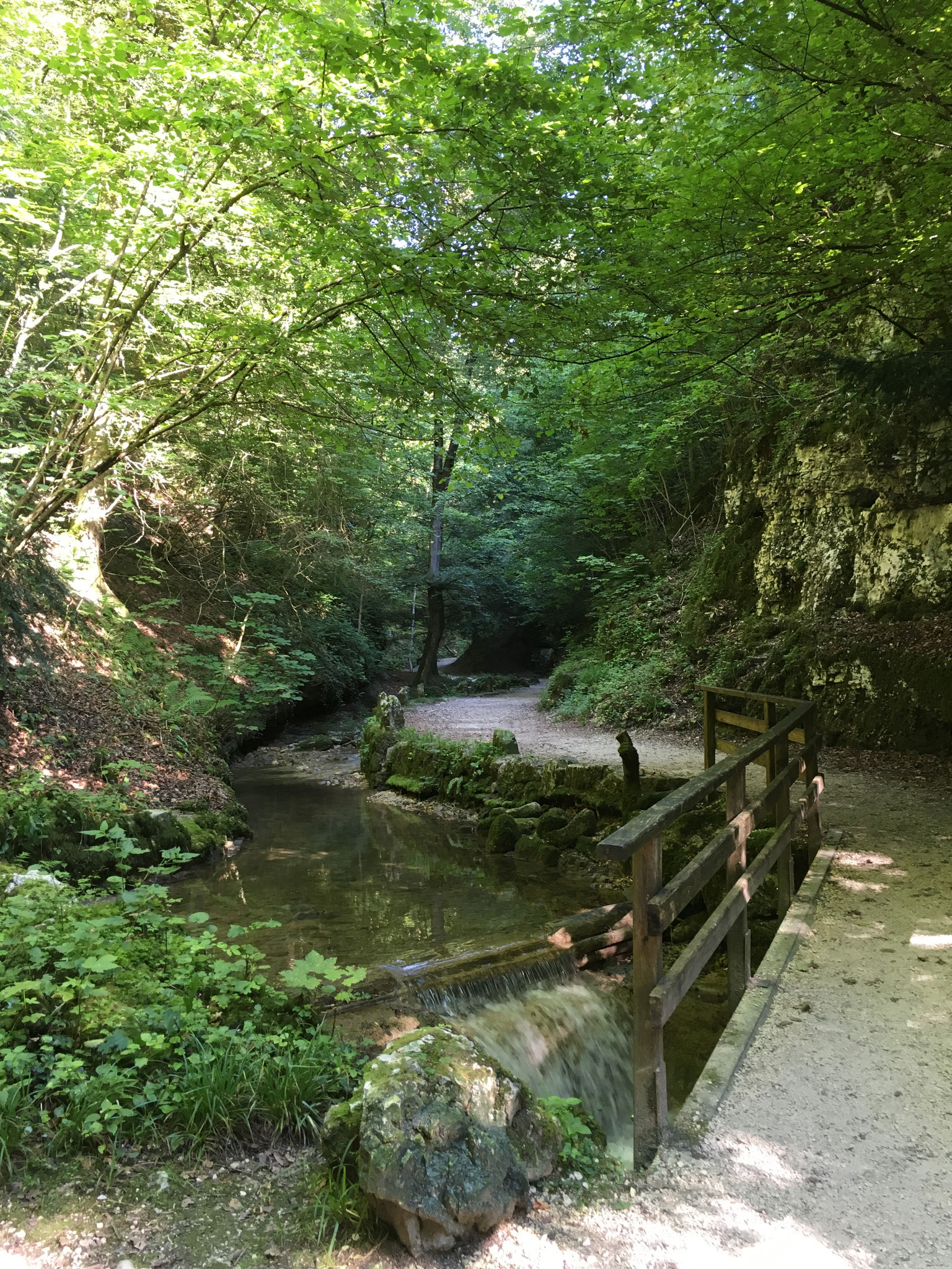 Der meiste Schatten in unserem Leben rührt daher, dass wir uns selbst in der Sonne stehen (Ralph Waldo Emerson)