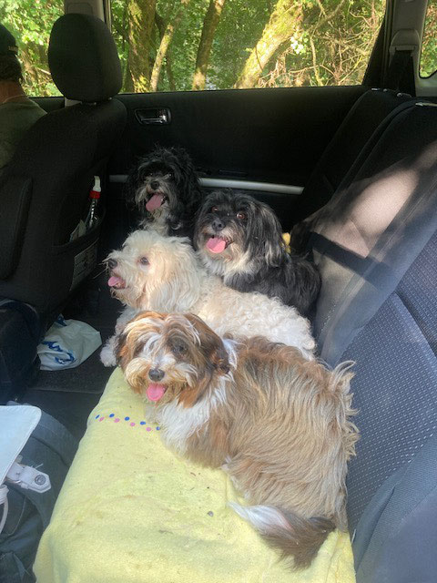 en route pour l'aventure !