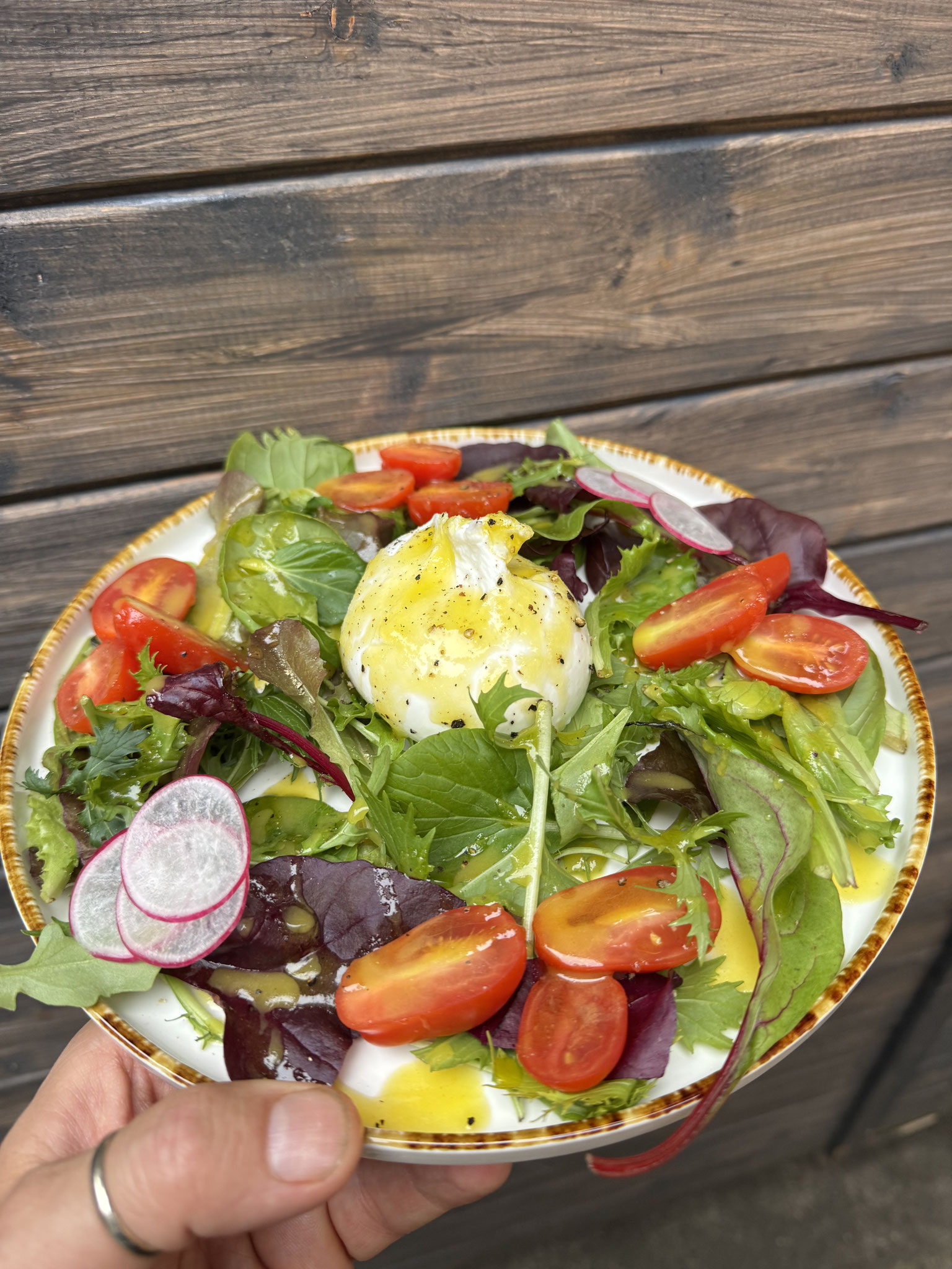 Burrata auf Wildkräutersalat Santamaria trebur wein trinken Restaurant Italienische gaststätte
