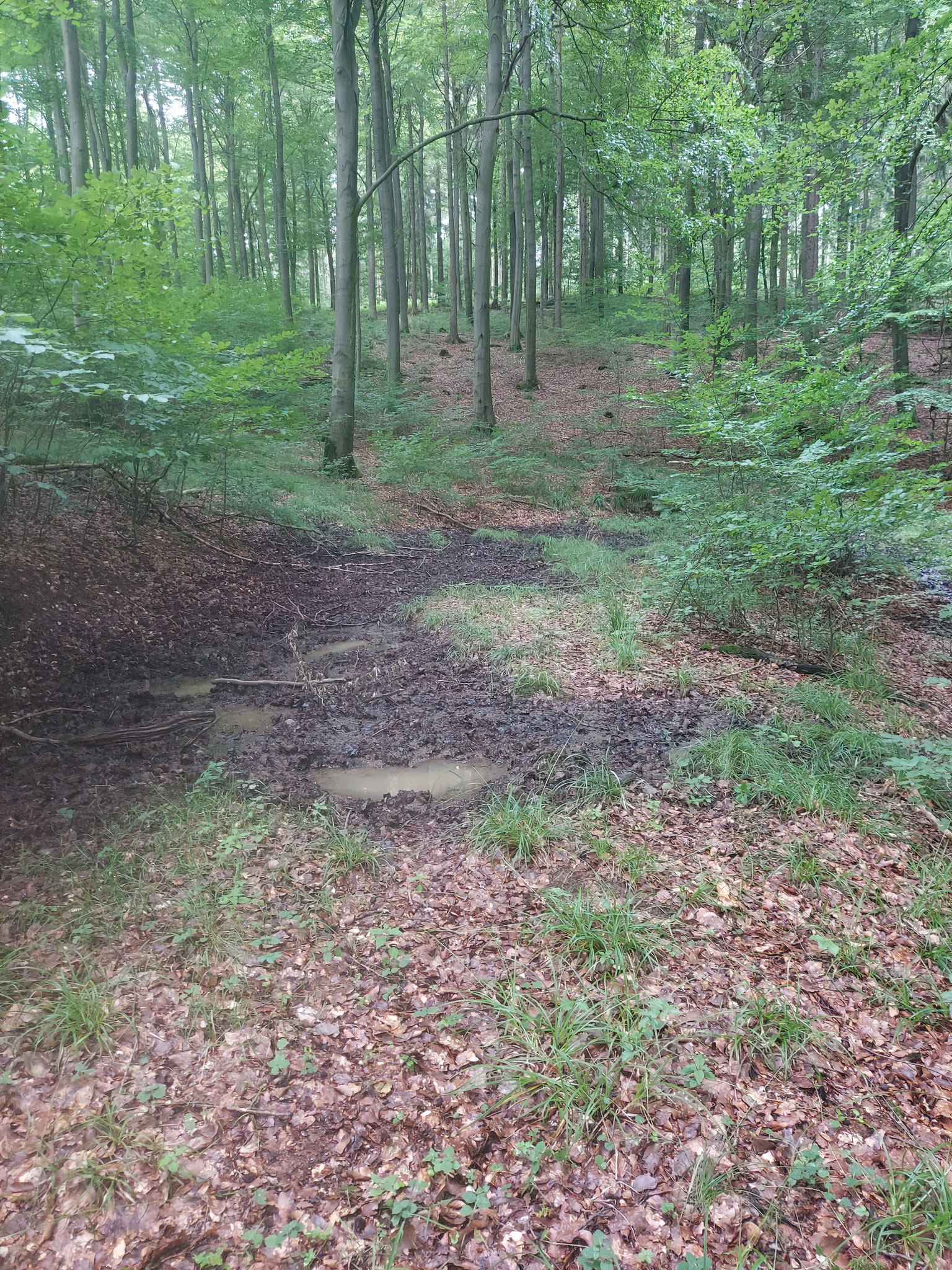Bullerbach
