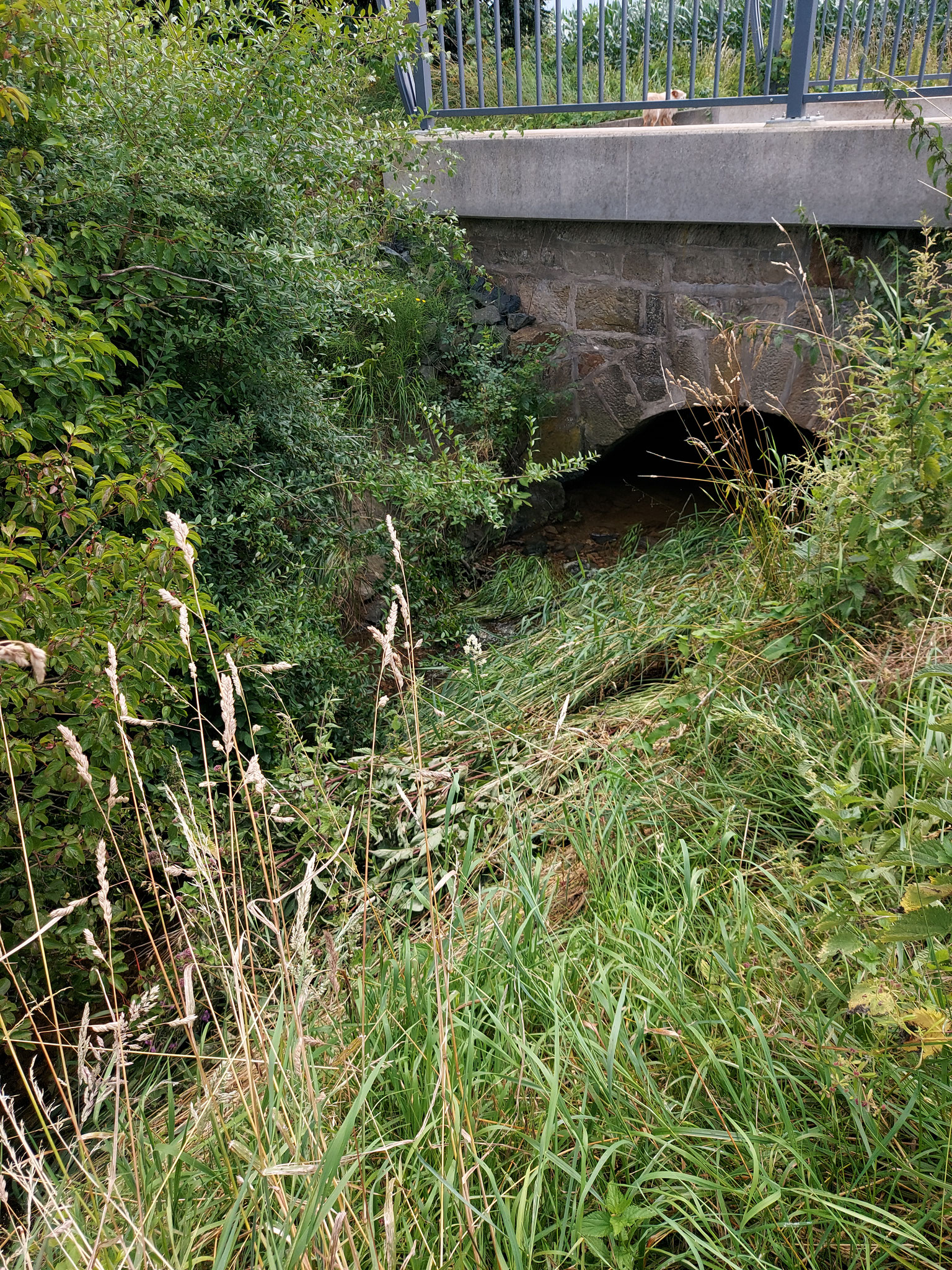Allerbach
