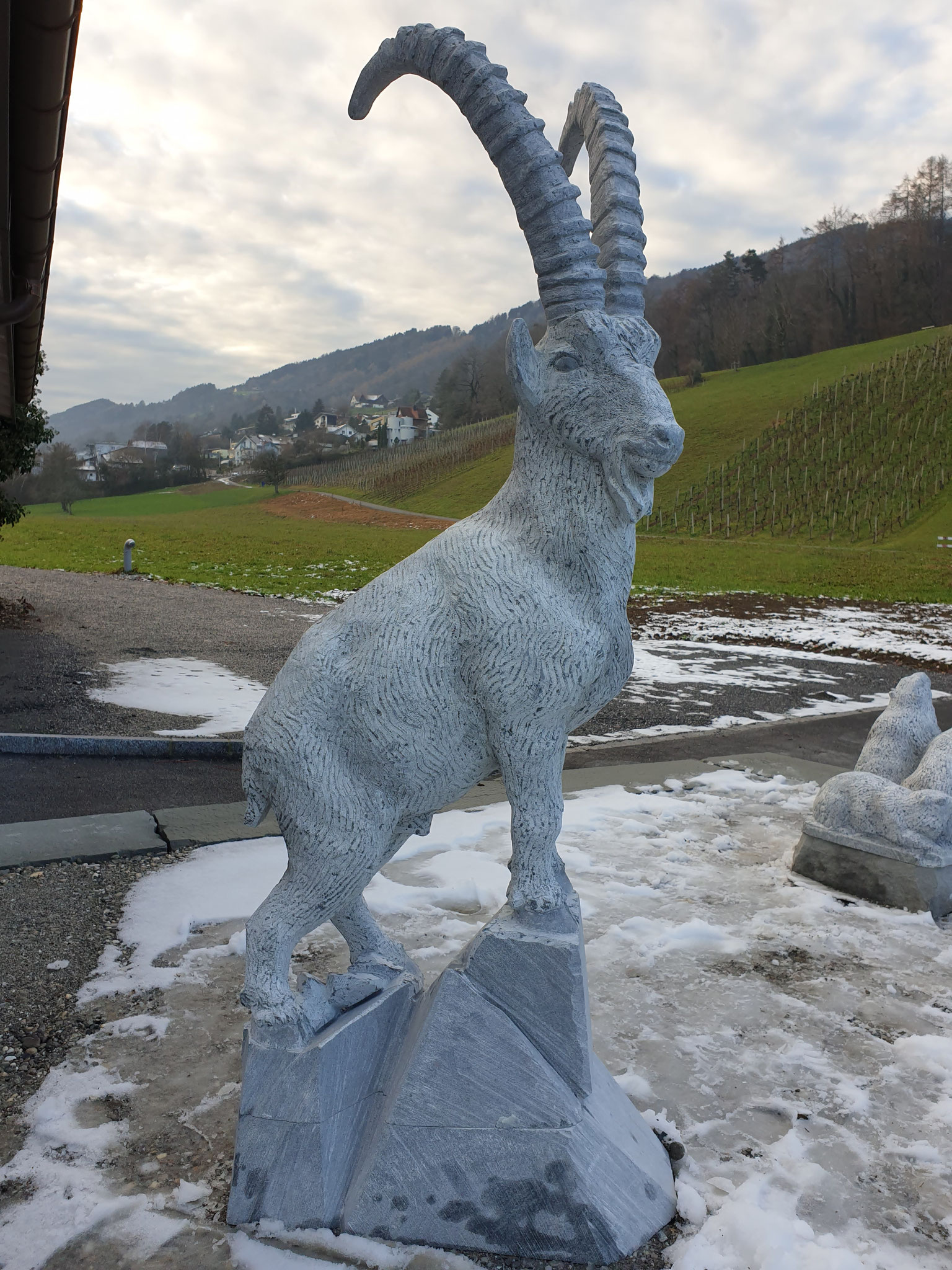 Steinbock gesetzt beim Kunden