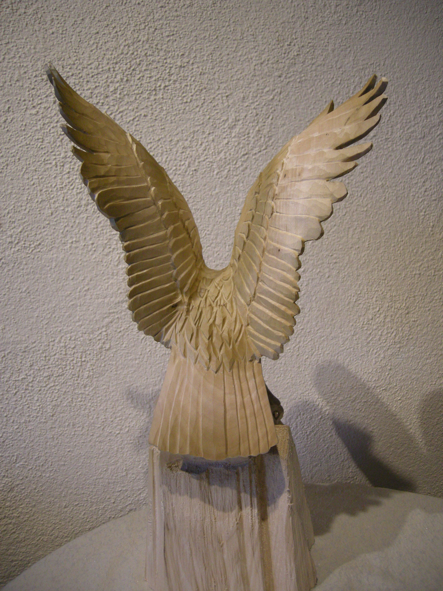 Steinadler