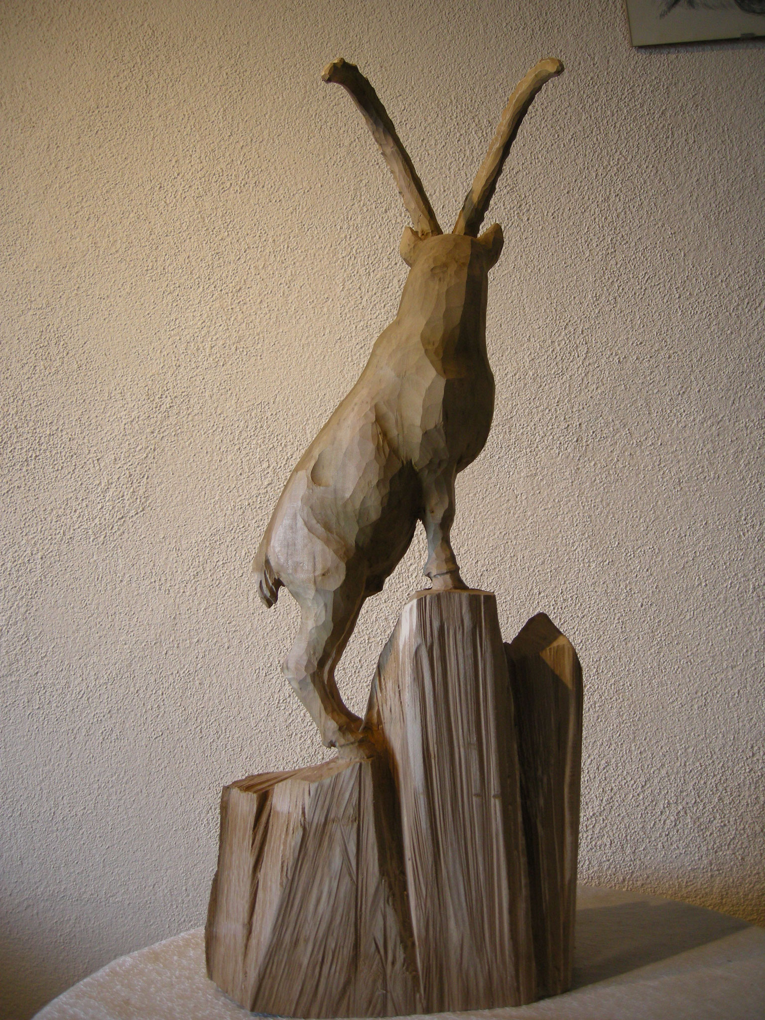 Alpensteinbock