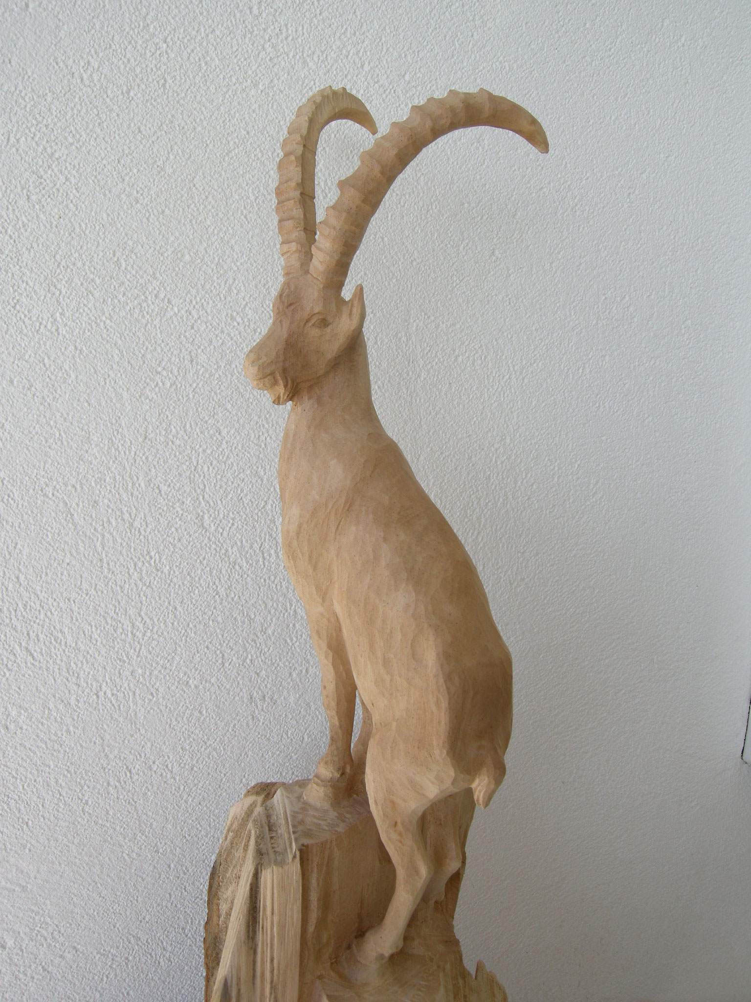 Alpensteinbock
