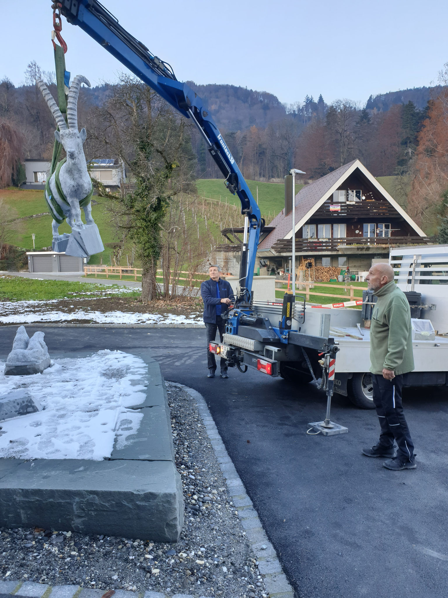 Steinbock beim setzen in Balgach