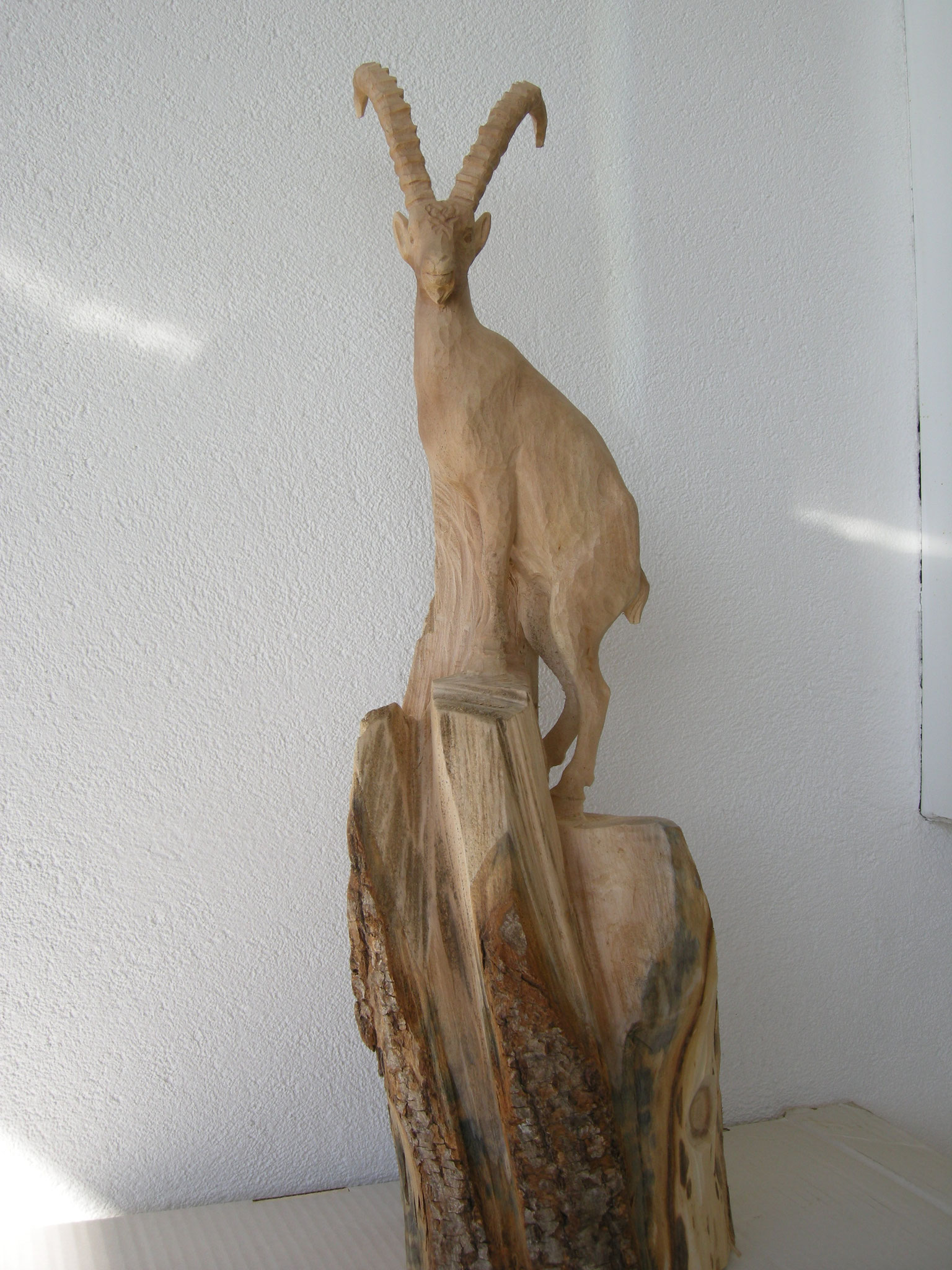 Steinbock Paul Widmer