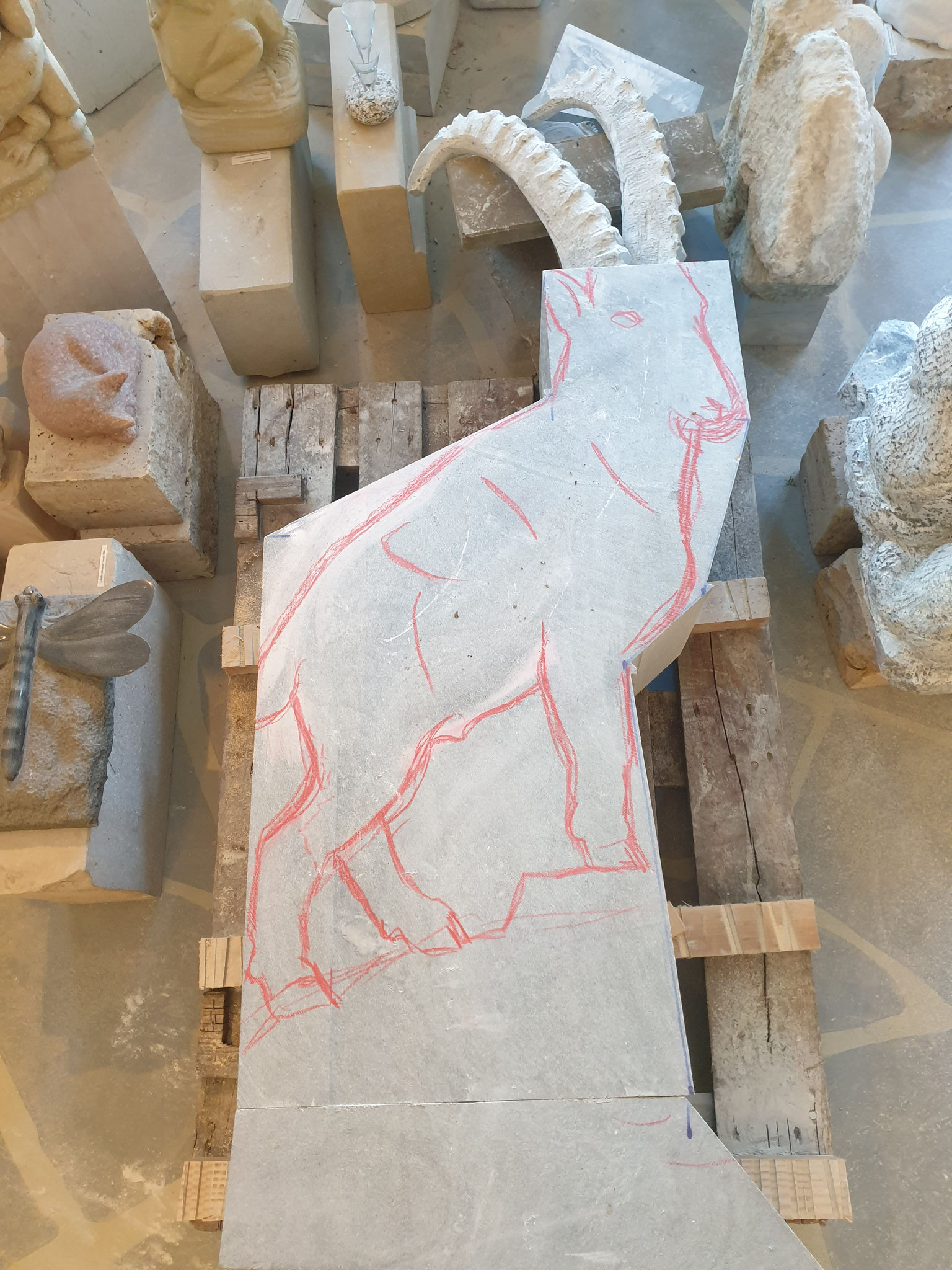 Steinbock Kontur aufgezeichnet Paul Widmer
