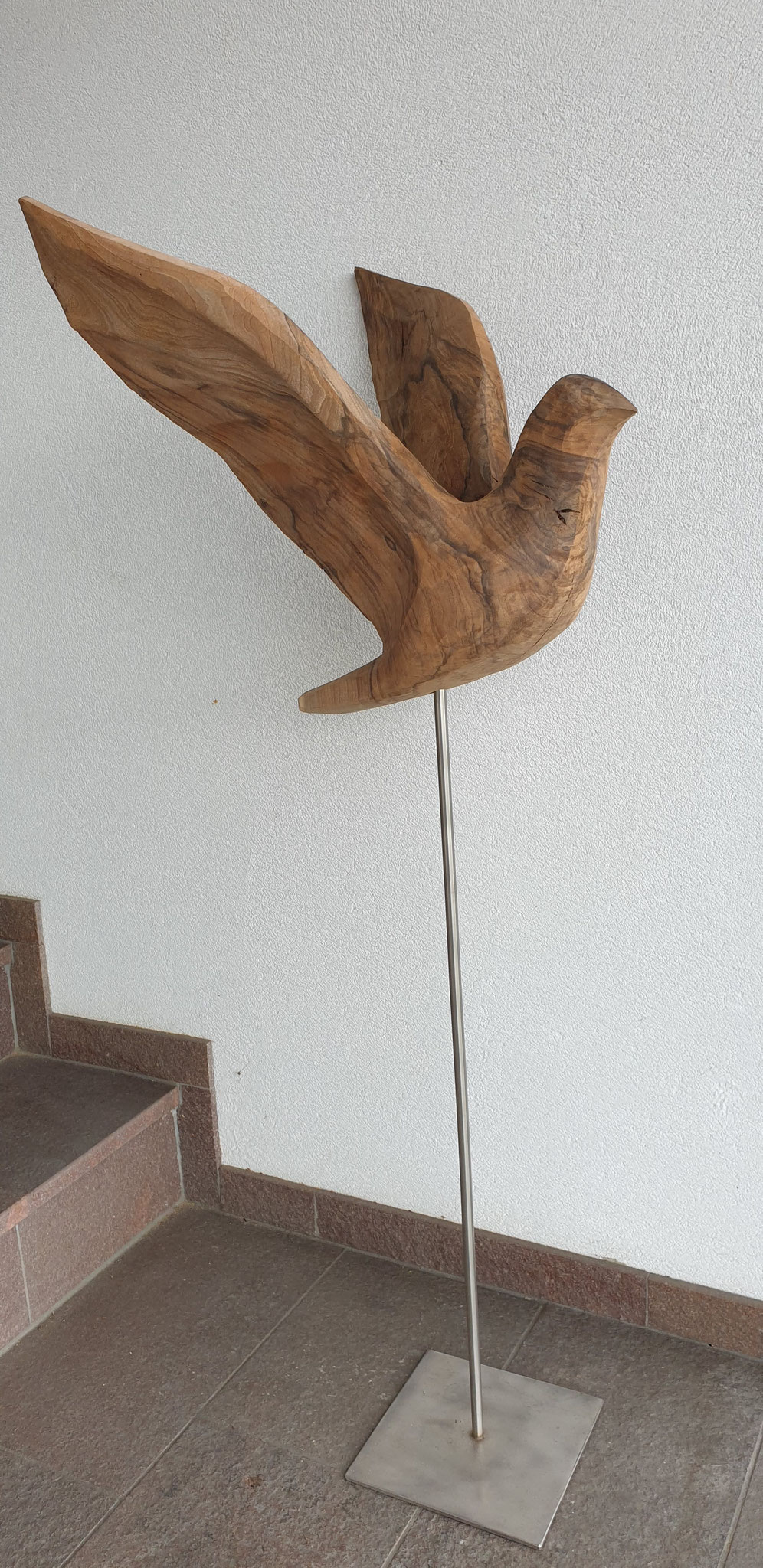 Taube Nussbaumholz