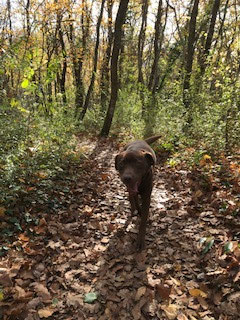 Paulas Herbstwanderung