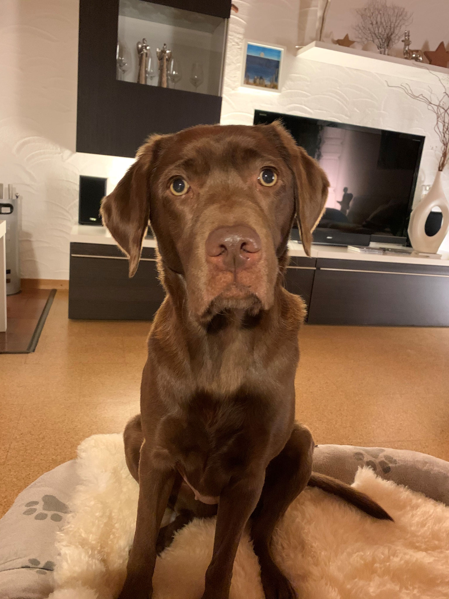 Hallo!